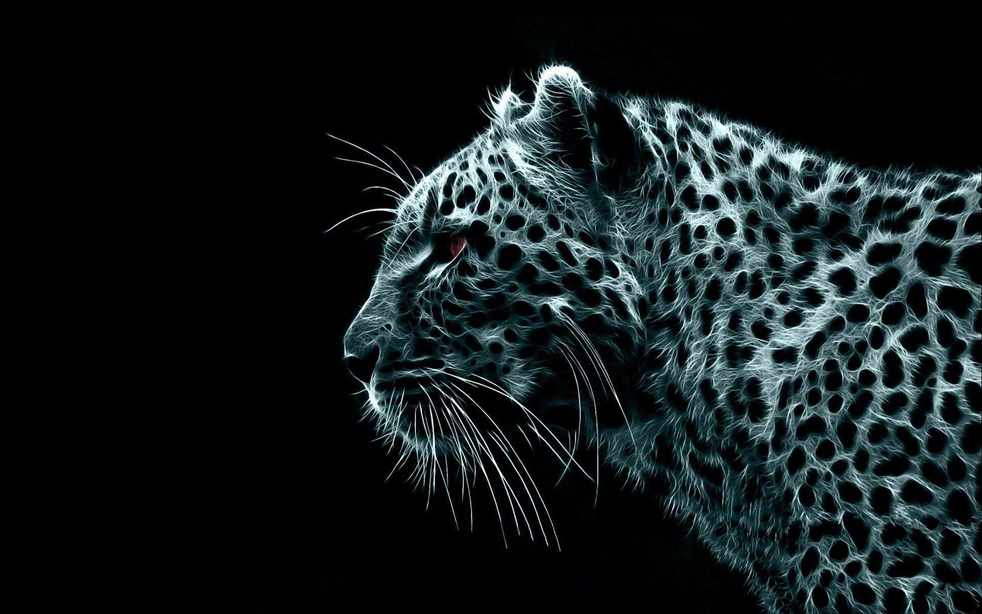 1920x1200 Snow Leopard, Desktop