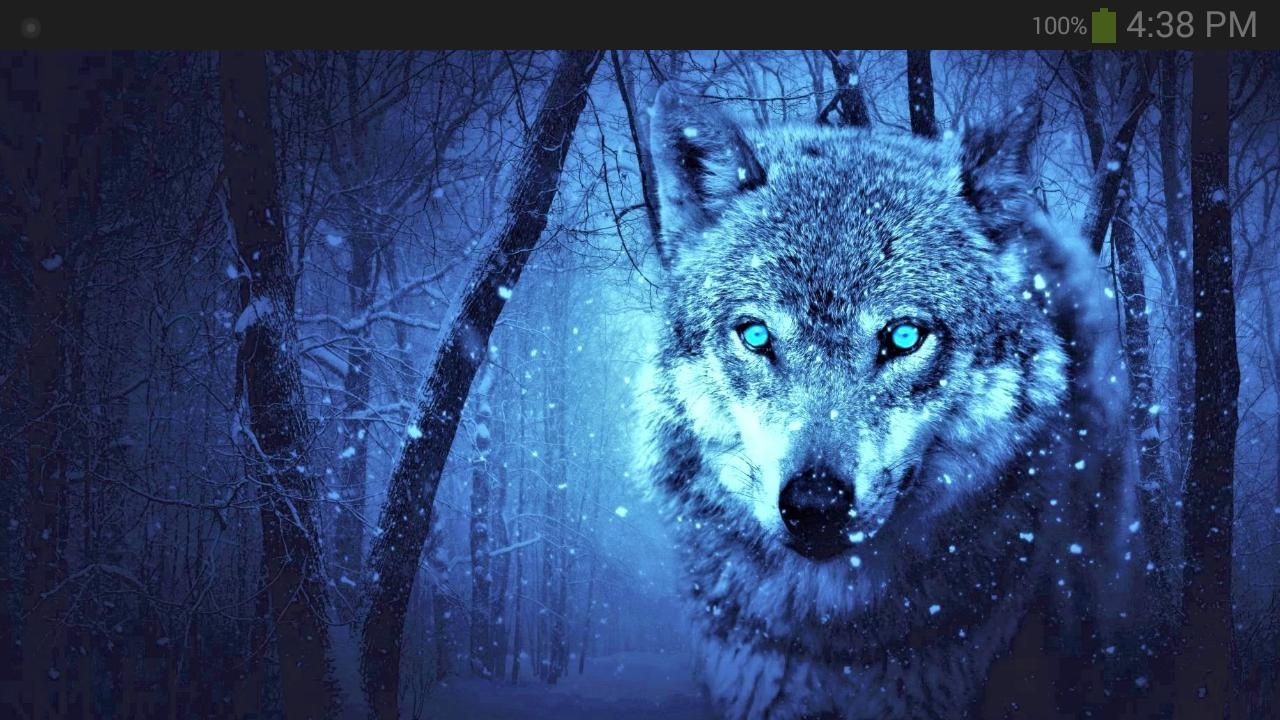 1280x720 Android Wolf Wallpaper, Desktop