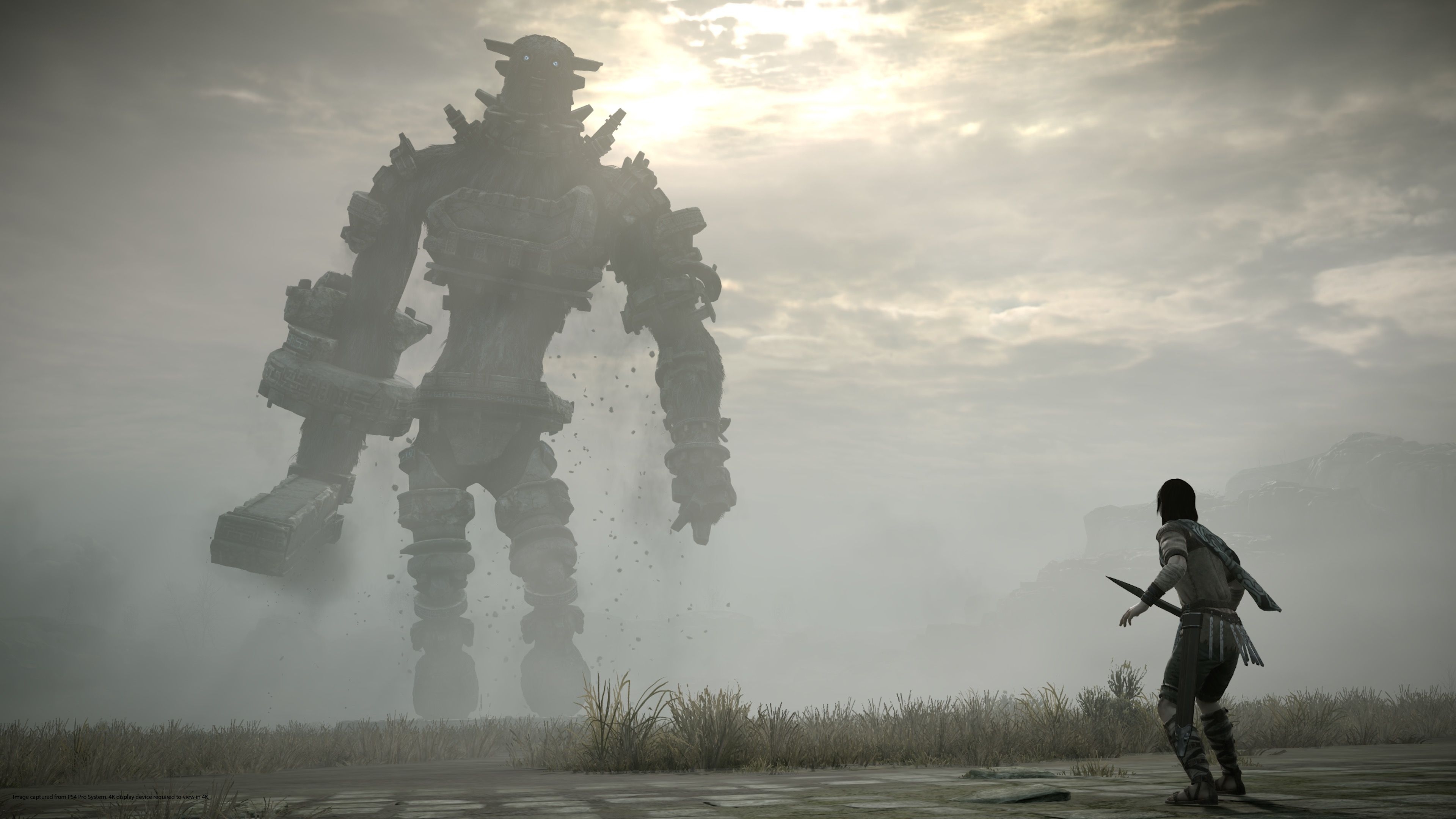 3840x2160 PSX 2017 Shadow Of The Colossus Collectors Edition PS4 Pro 2048x1152 Resolution HD 4k Wallpaper, Image, Background, Photo and Picture, Desktop