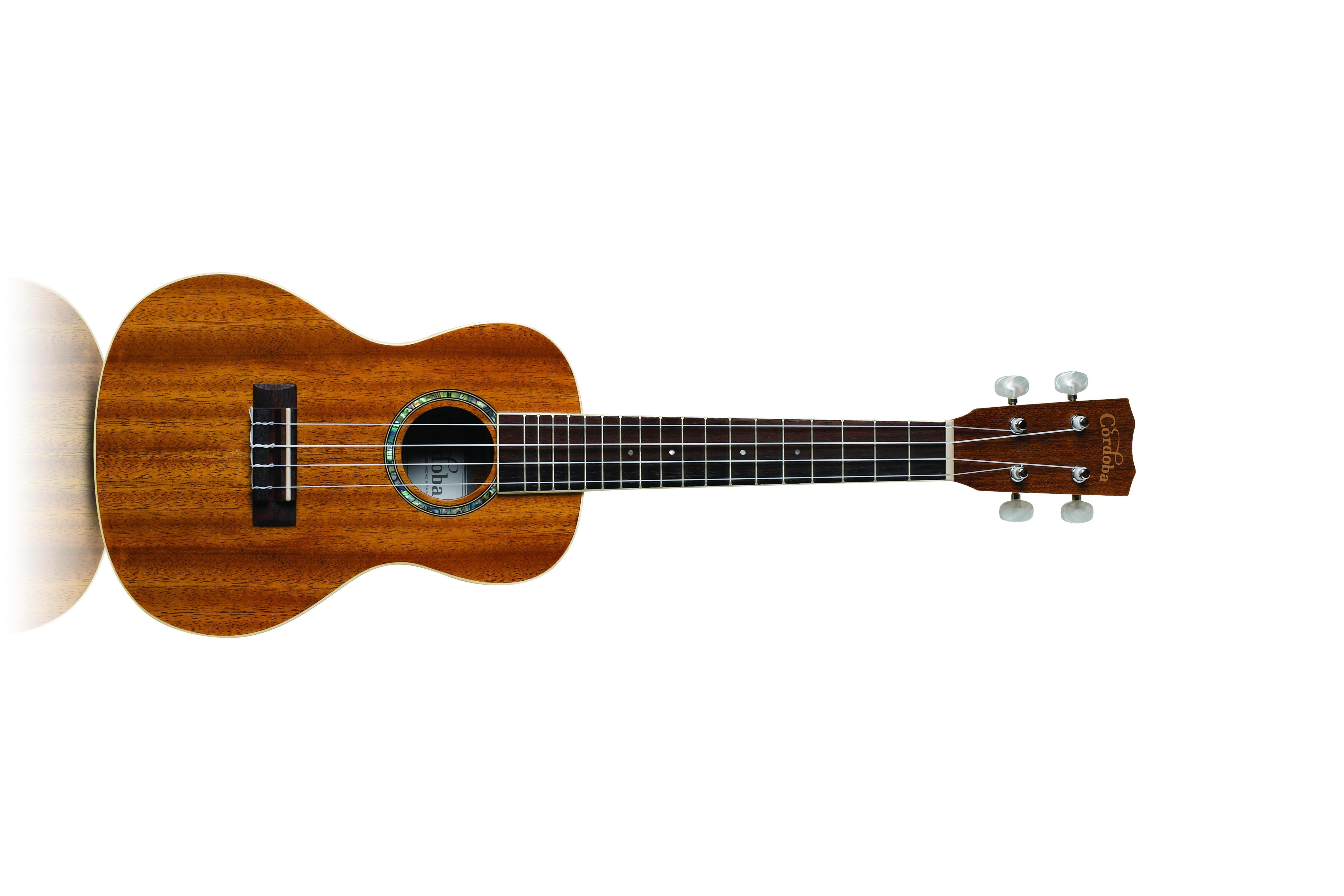 5620x3750 Unthinkable Image Of A Ukulele, Desktop