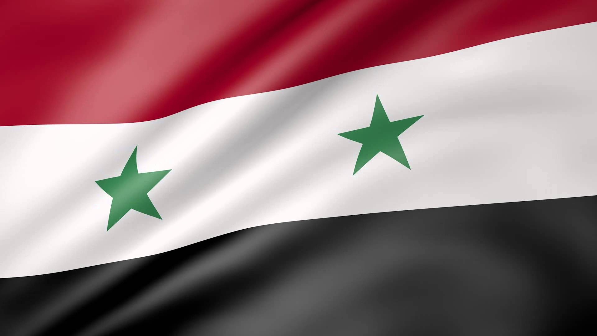 1920x1080 Syrian Wallpaper. Syrian Hamster Wallpaper, Desktop