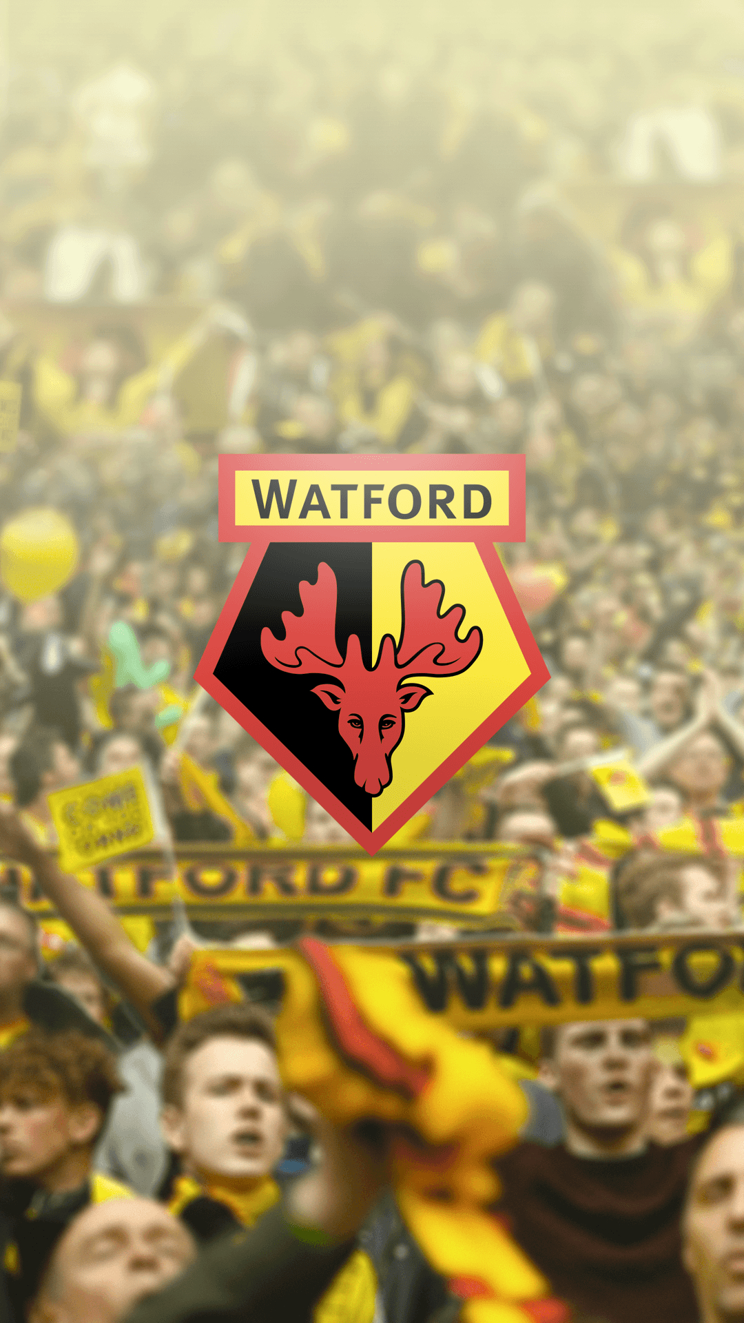 1080x1920 WatfordFC, Phone