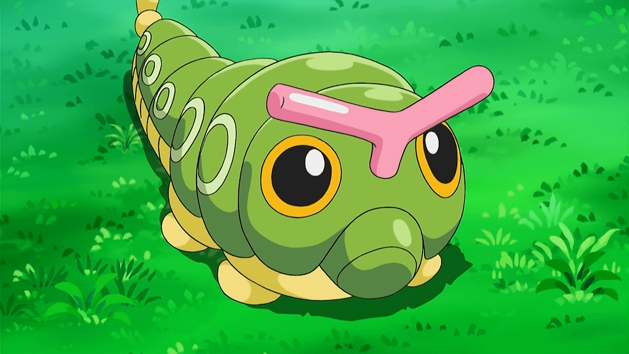 1280x720 Caterpie (Grass Bug). Pokémon :D. Grasses, Pokémon, Desktop