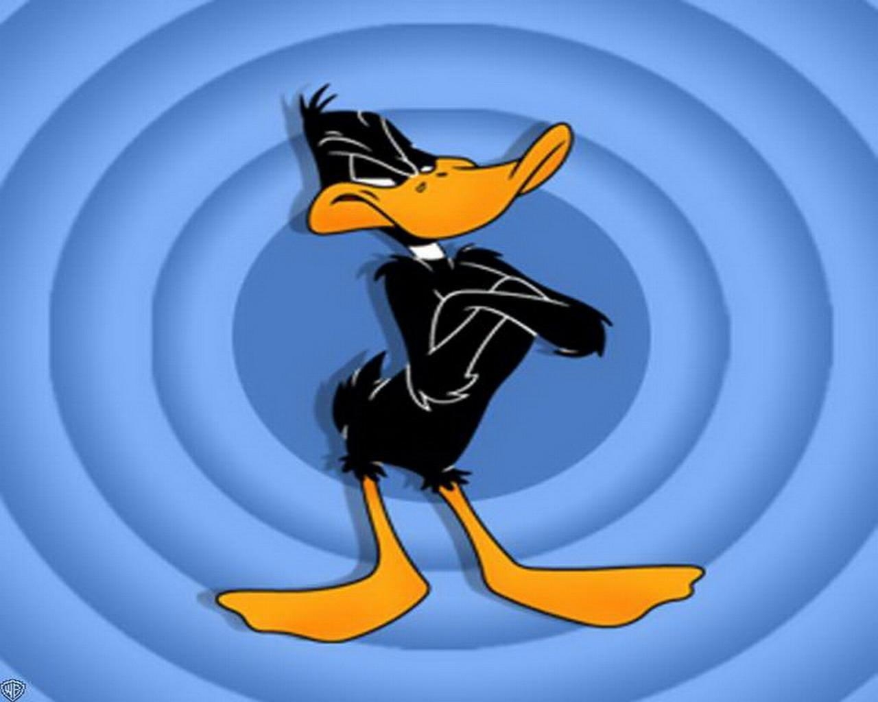 1280x1030 Daffy Duck wallpaper Wallpaper Wallpaper 7876, Desktop