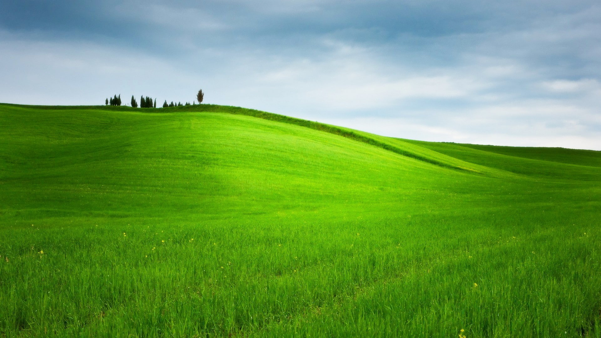 1920x1080 Hill Wallpaper, Grass, Trees, Landscape, Nature, Field, Green, Desktop