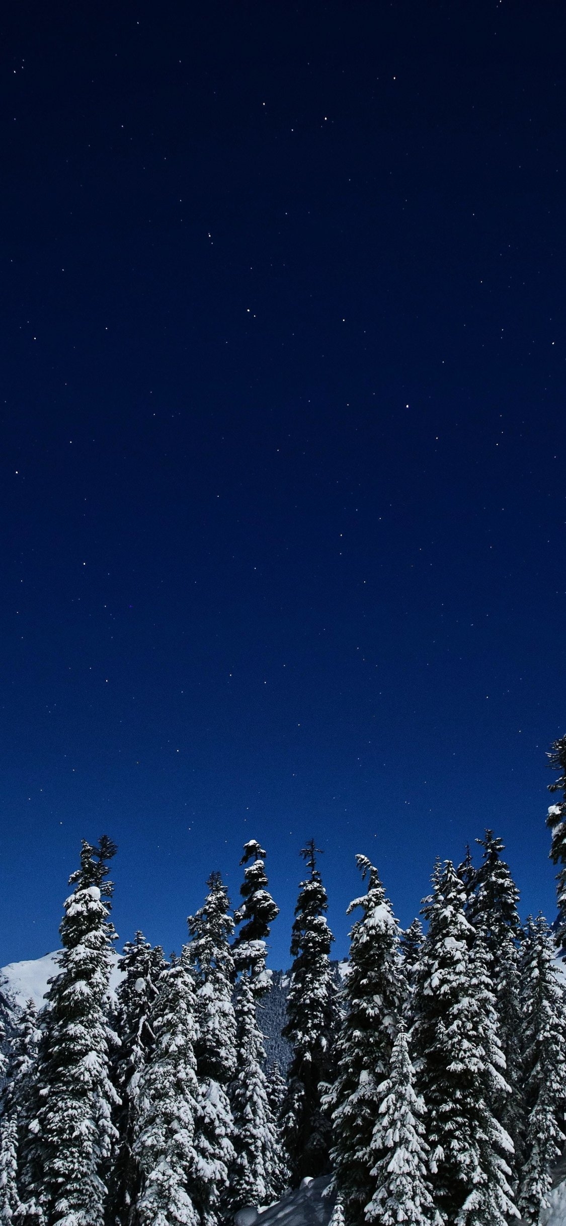 1130x2440 Winter Night Wallpaper iPhone, Phone