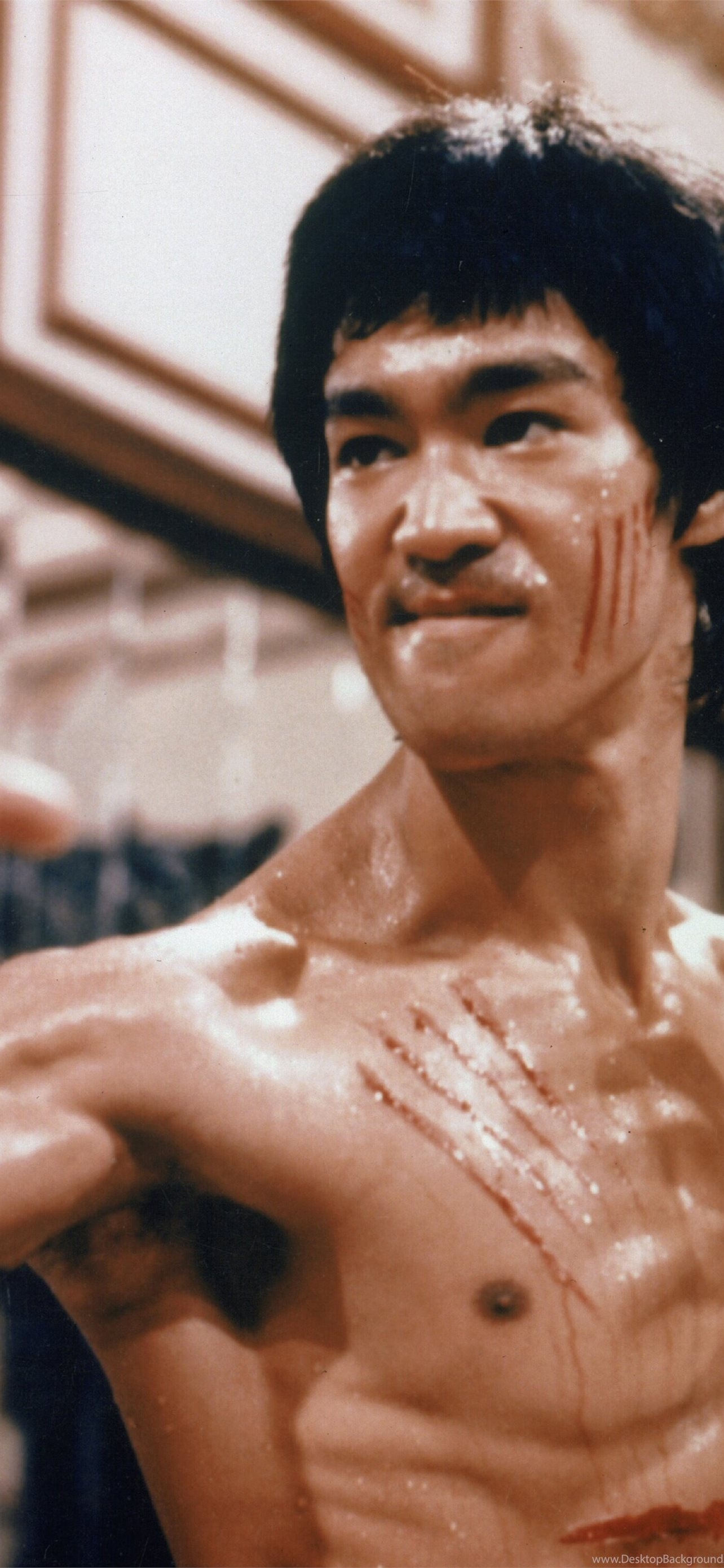 1290x2780 Bruce Lee Dragon Desktop Background iPhone Wallpaper Free Download, Phone