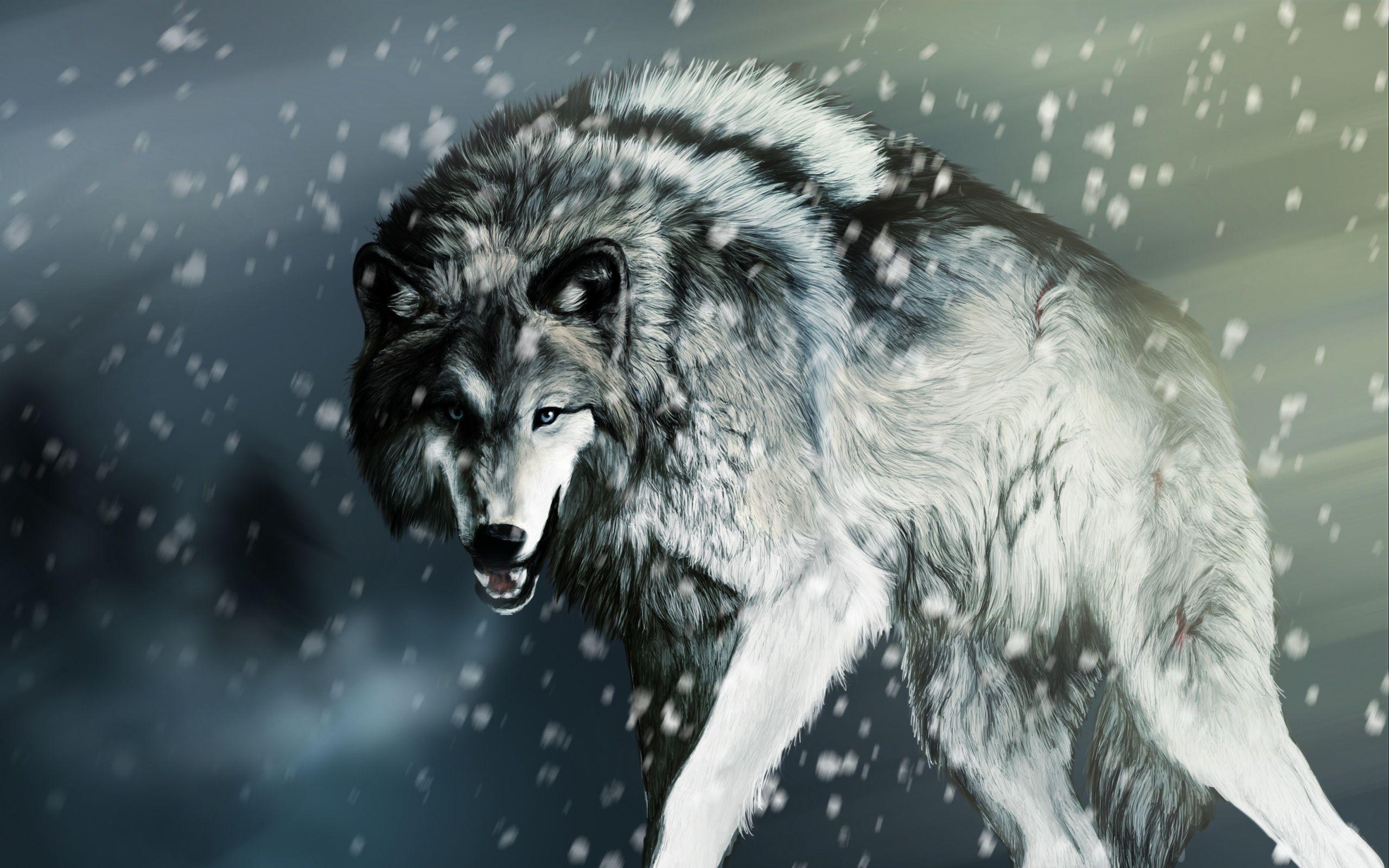 2560x1600 Wolf HD Wallpaper, Desktop