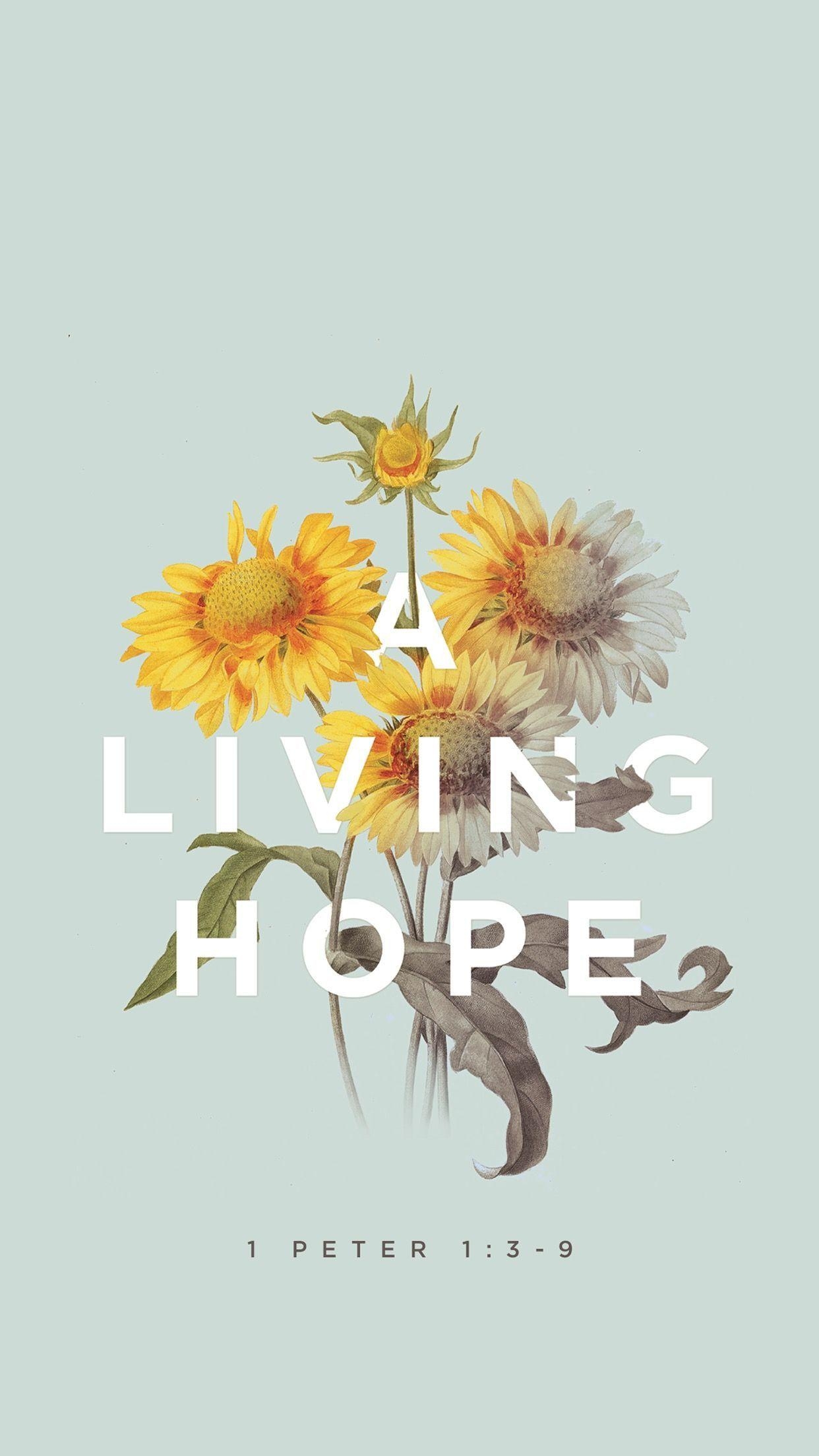 1250x2210 A living hope // mobile bible verse wallpaper, Phone