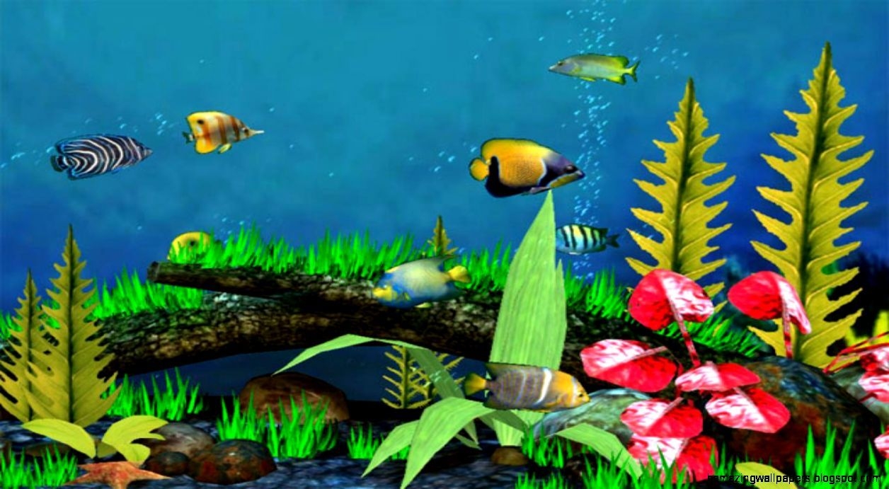 1260x700 3D Fish Wallpaper Desktop, Desktop