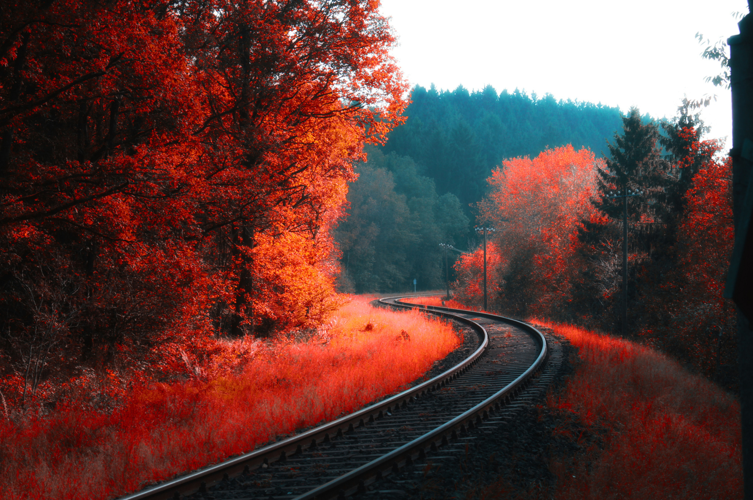 2560x1700 Railway Autumn Forest Chromebook Pixel HD 4k Wallpaper, Image, Background, Photo and Picture, Desktop