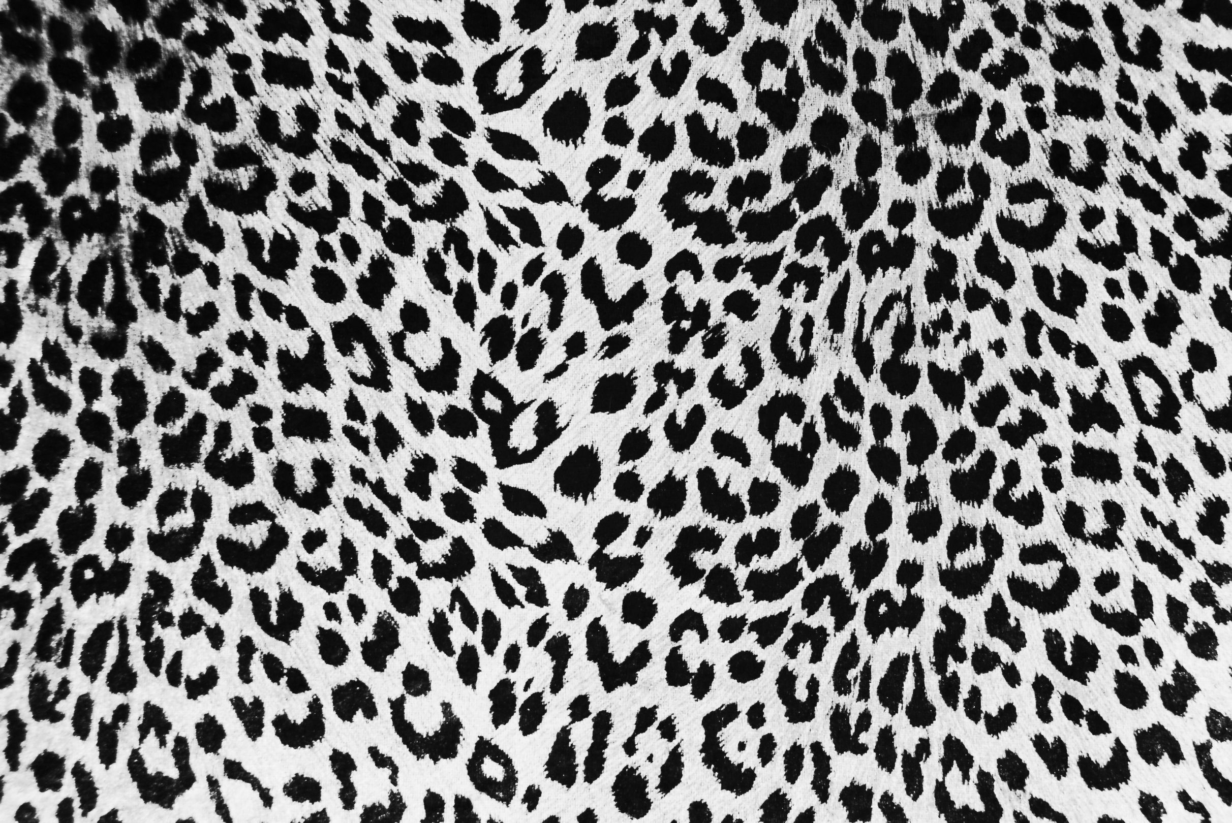 2430x1620 Free textures and background patterns Black and white leopard skin. Cheetah print background, Cheetah print wallpaper, Print, Desktop