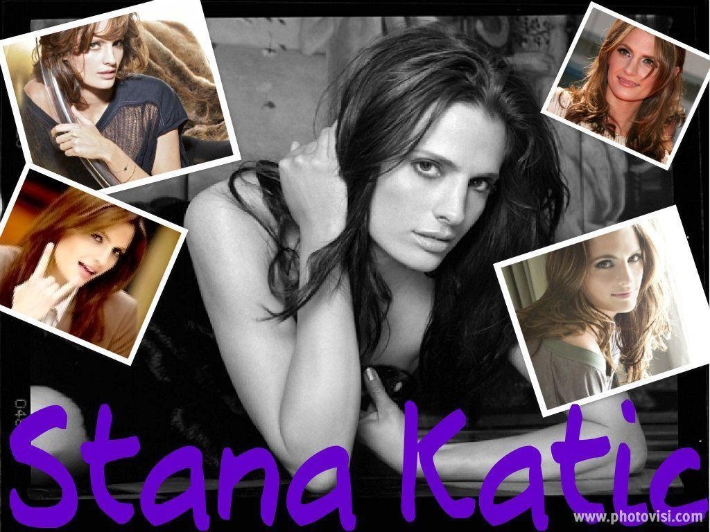 1030x770 Stana Katic wallpaper 17, Desktop