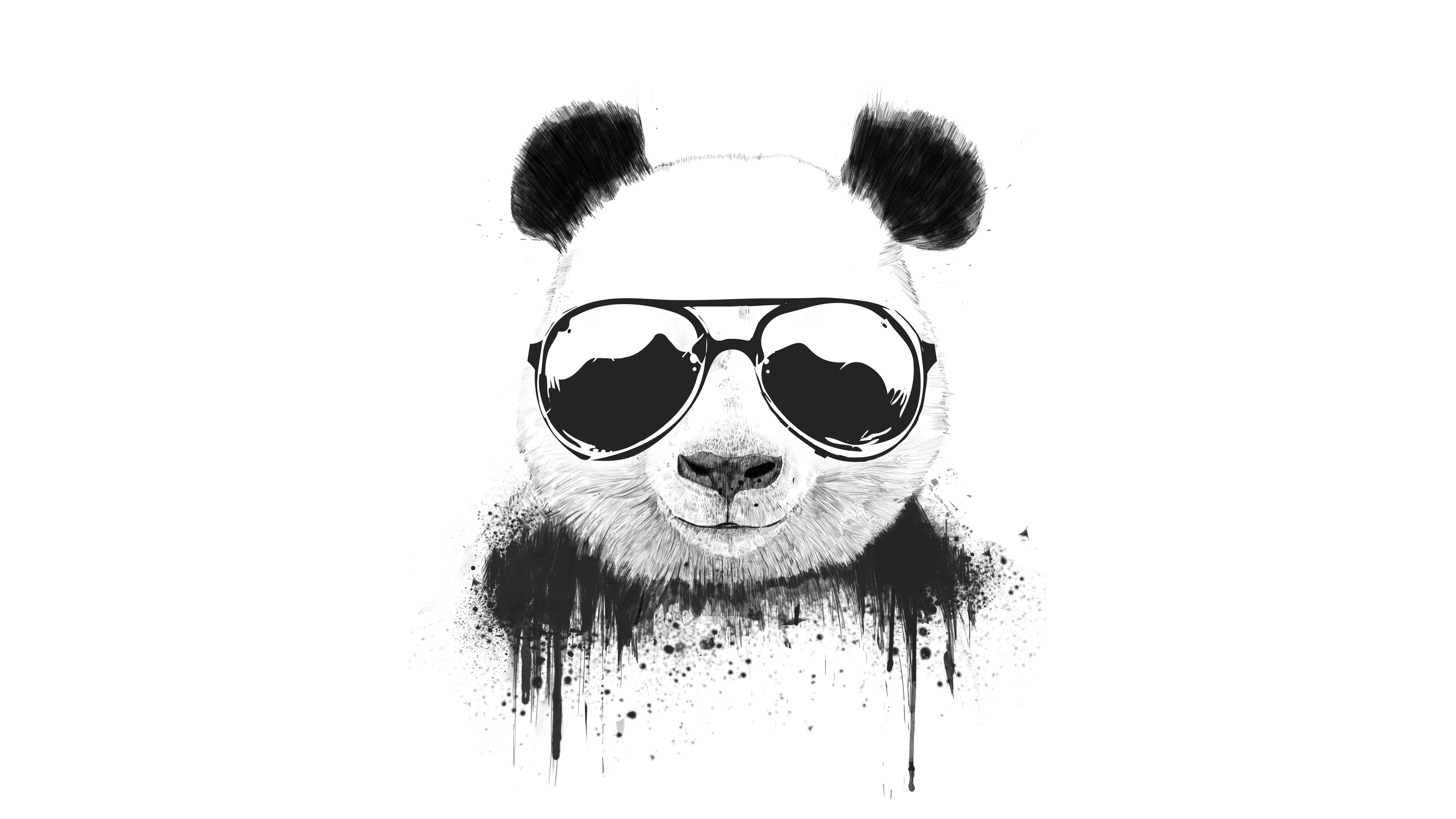 3840x2160 Wallpaper 4k Stay Cool Panda Wallpaper, Desktop