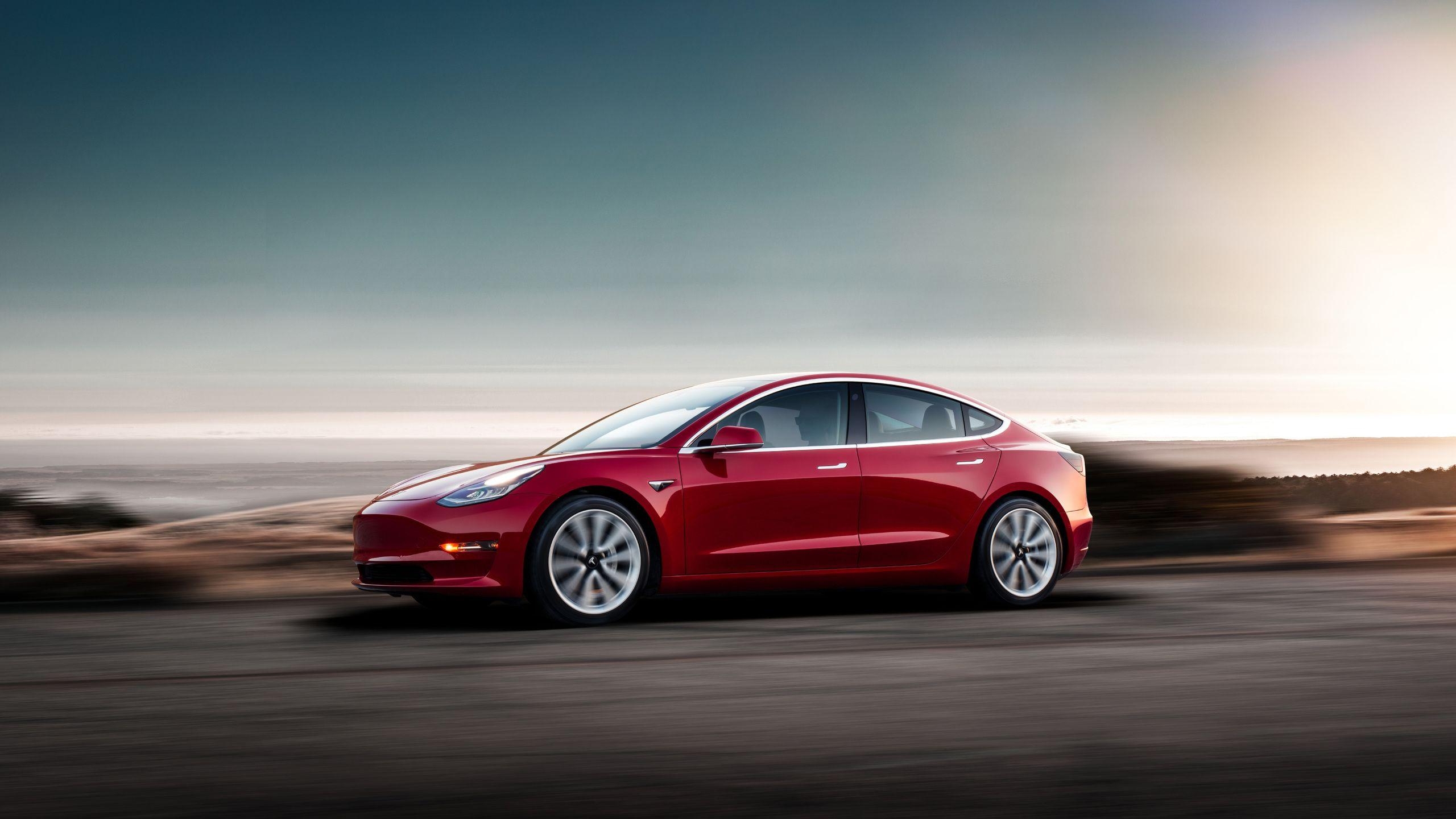 2560x1440 Tesla Model 3 1440P Resolution HD 4k Wallpaper, Desktop