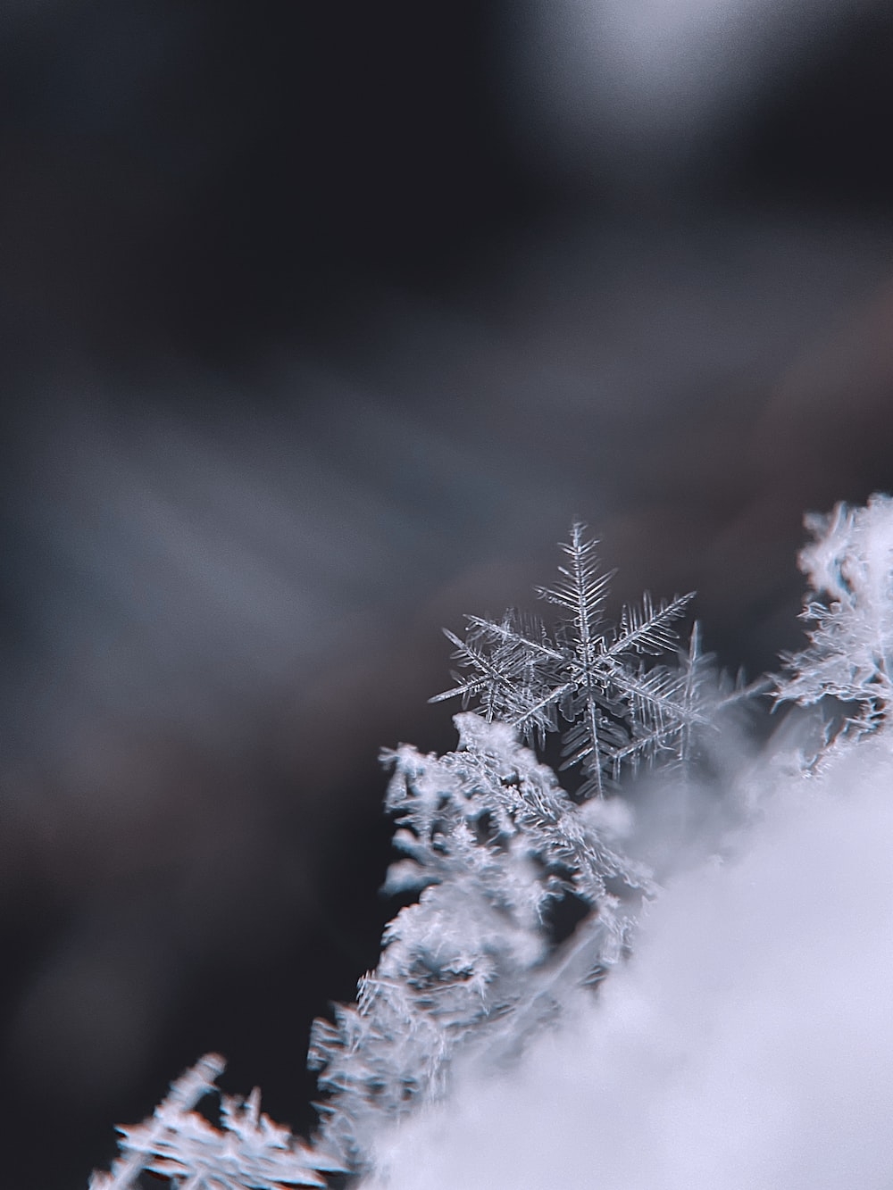 1000x1340 Snowflake Picture. Download Free Image, Phone