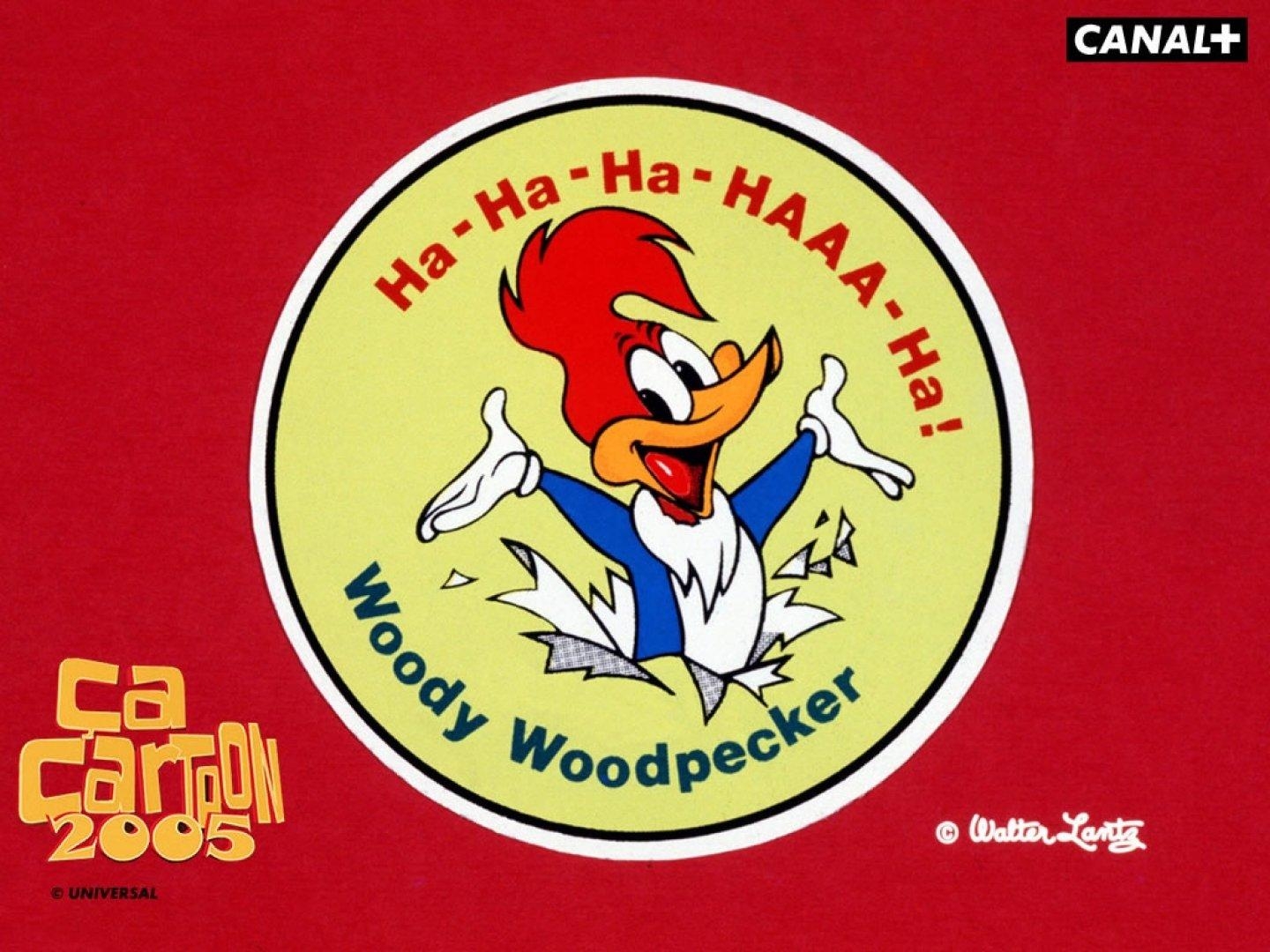 1440x1080 Woody Woodpecker Wallpaper 1080p #C6OEB6N, Desktop