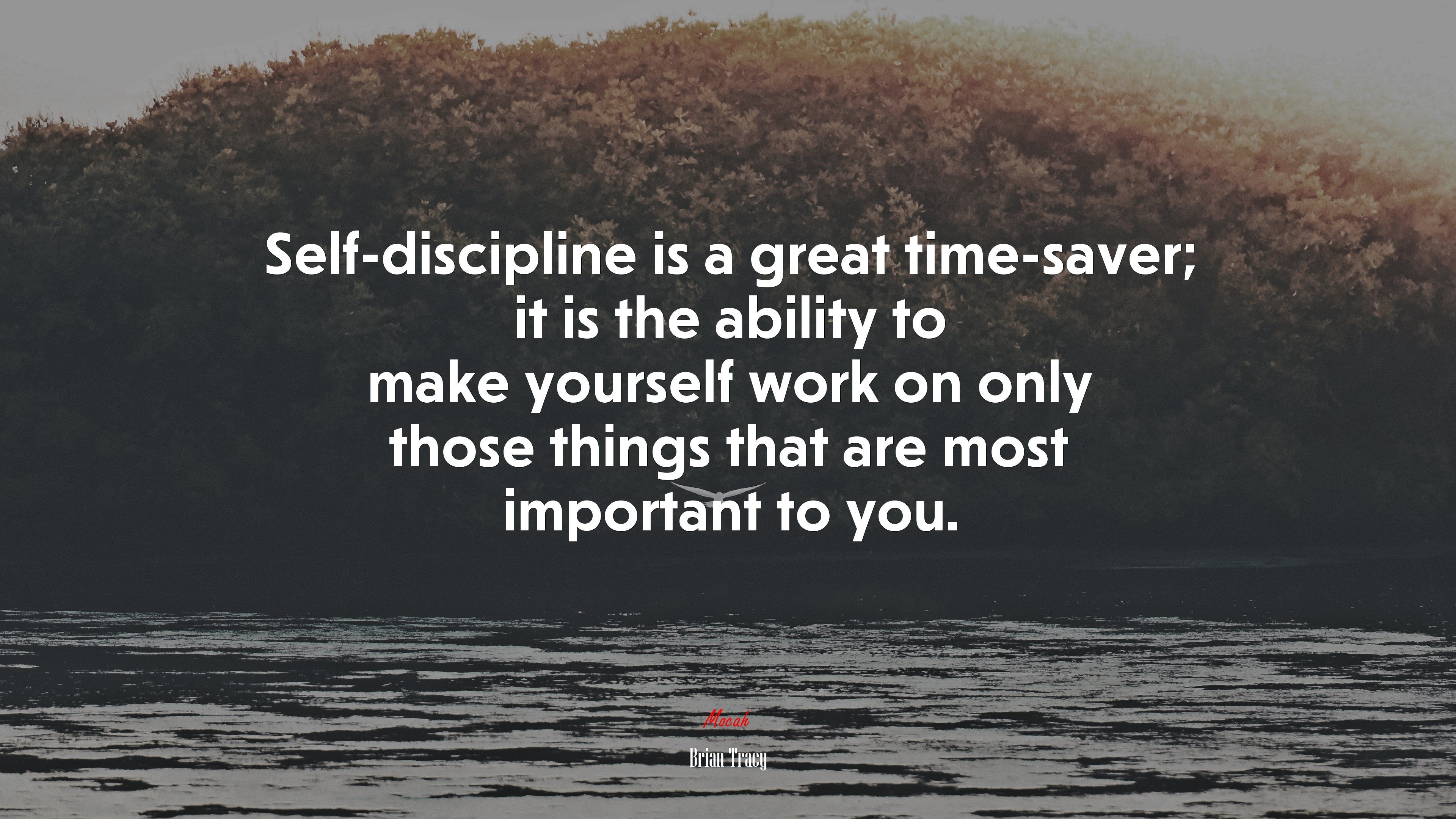 3840x2160 Persistence Is Self Discipline In Action. Brian Tracy Quote, 4k Wallpaper. Mocah HD Wallpaper, Desktop