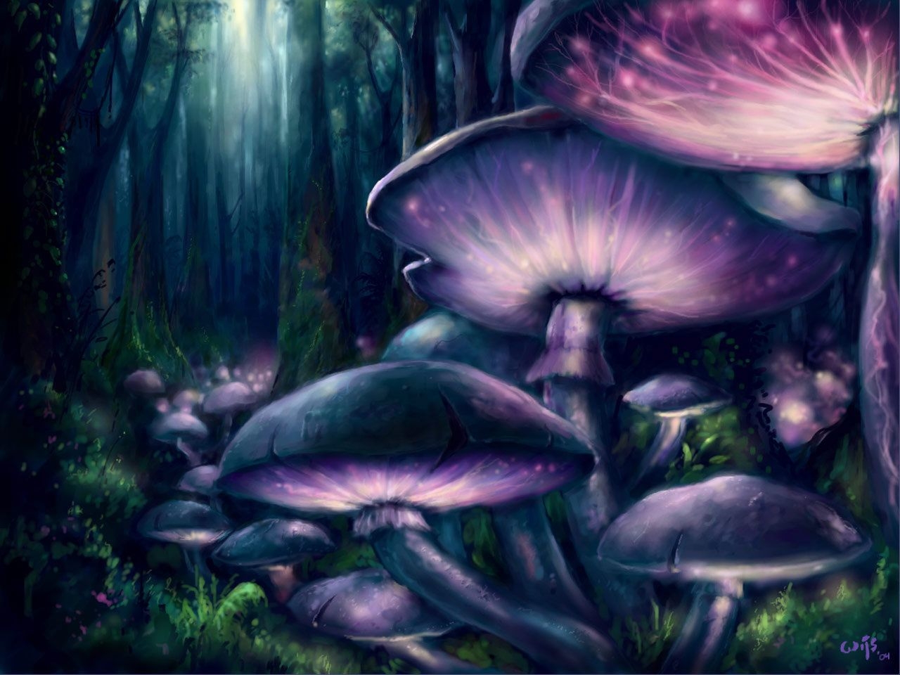 1280x960 Free download Picture mushroom forest wallpaper picture download [] for your Desktop, Mobile & Tablet. Explore Mushroom Forest Wallpaper. Mushroom Wallpaper, Nathalie Lete Wallpaper, Desktop