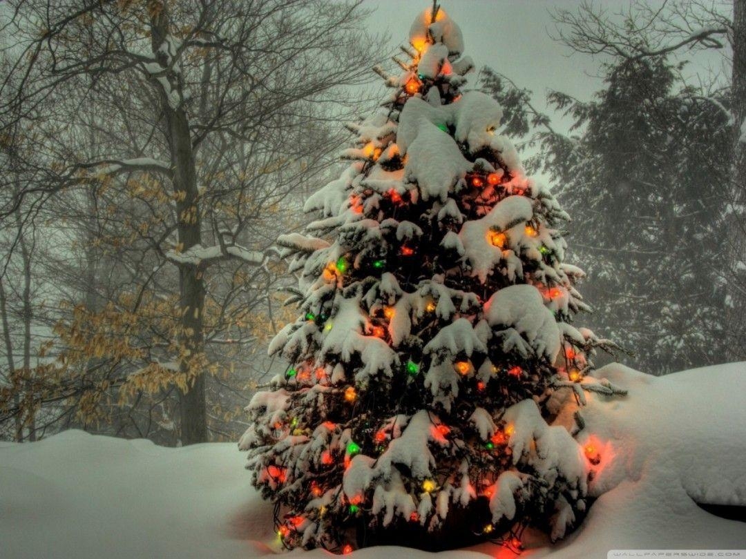 1080x810 Xmas Stuff For > Snowy Christmas Tree Wallpaper, Desktop