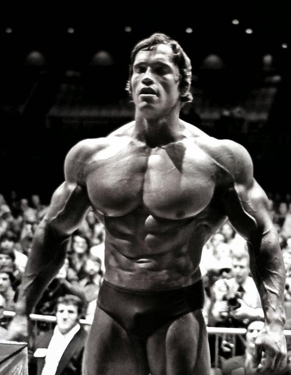 1000x1290 Arnold HD Wallpaper, Picture, Phone