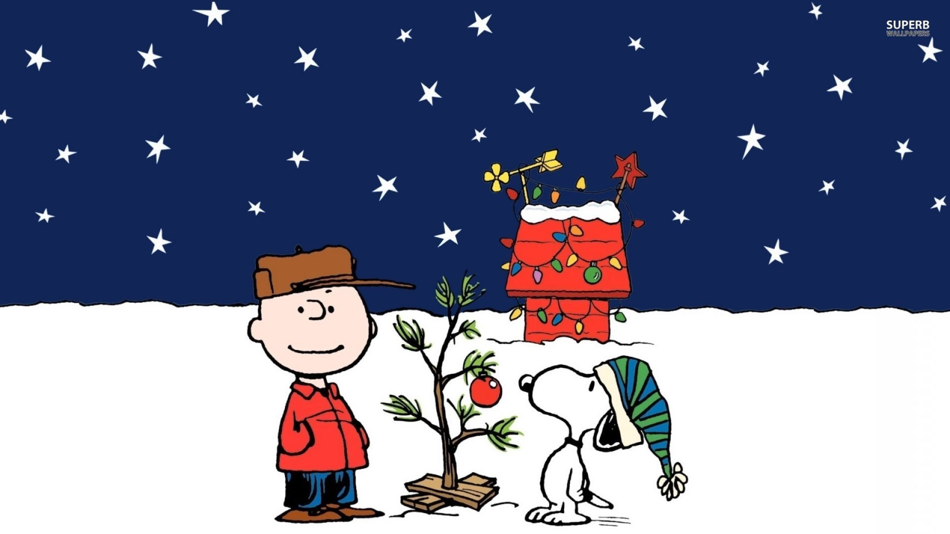 1920x1080 Charlie Brown Christmas Tree Wallpaper, Desktop