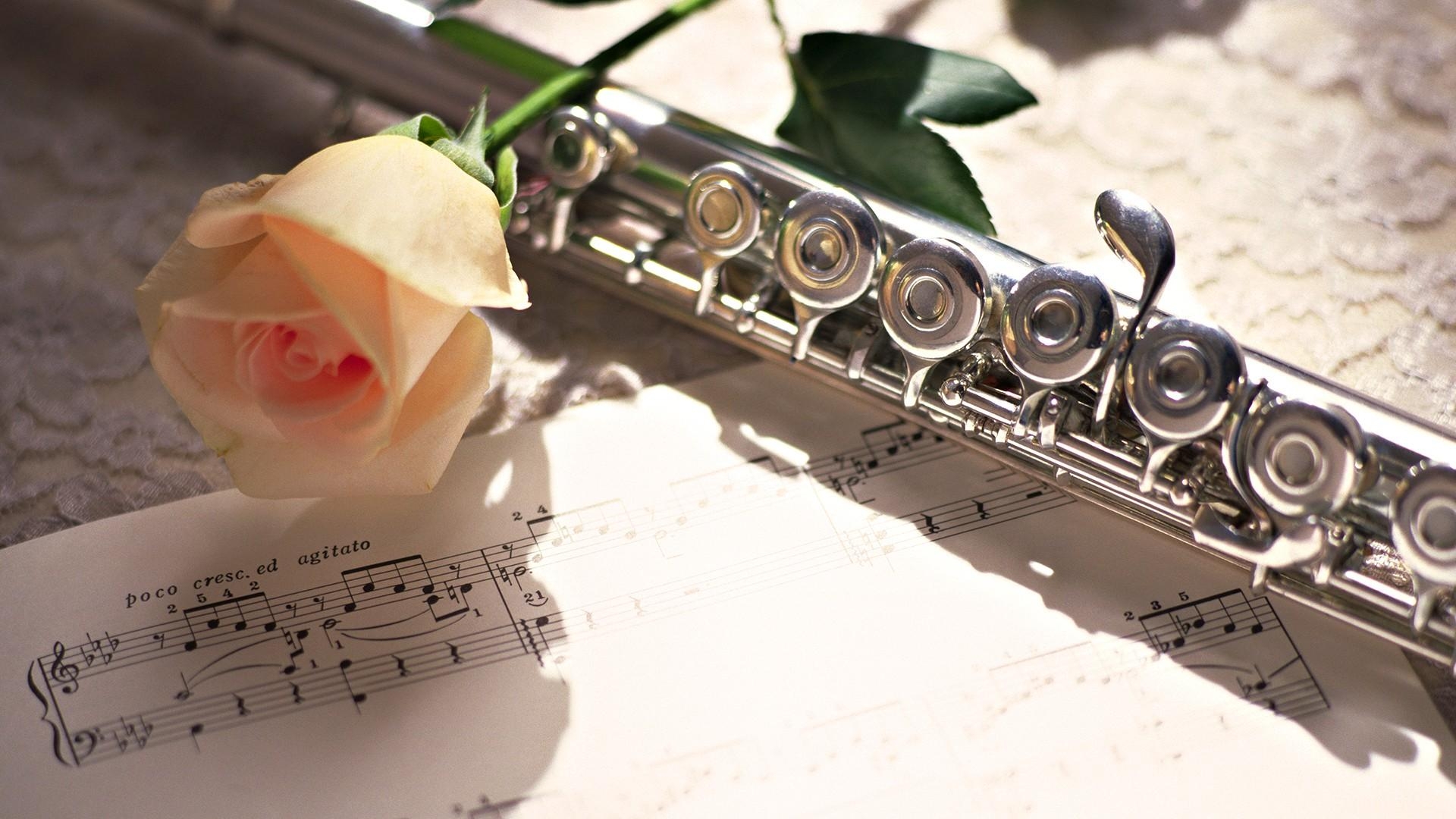 1920x1080 Download  Wallpaper Flute, Piccolo, Musical Instrument, Desktop