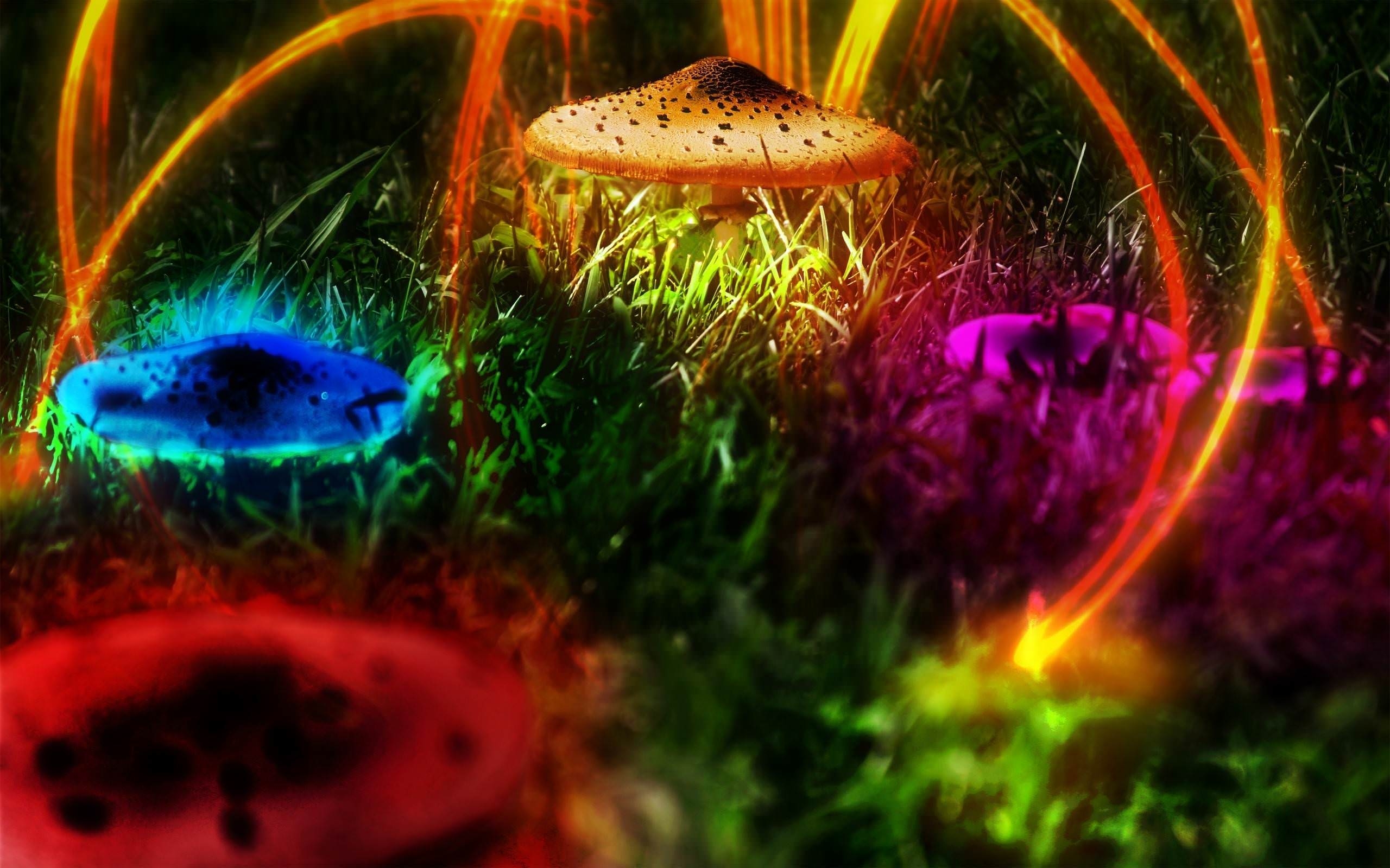 2560x1600 Psychedelic wallpaper psychedelic art wallpaper, Desktop