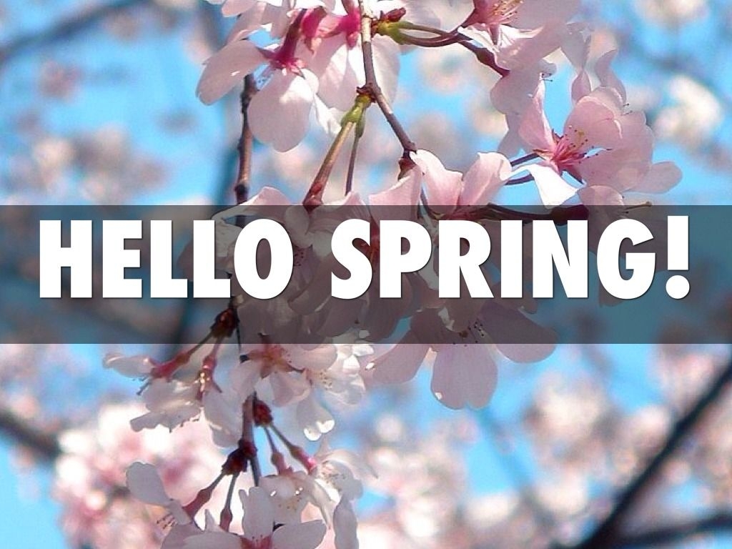 1030x770 Hello Spring 2015. Hello spring, Spring picture, Welcome spring, Desktop