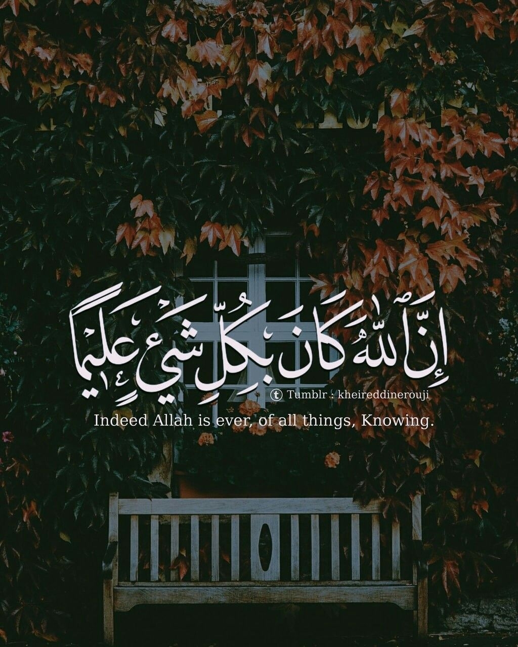 1030x1280 Quran Verses, Phone