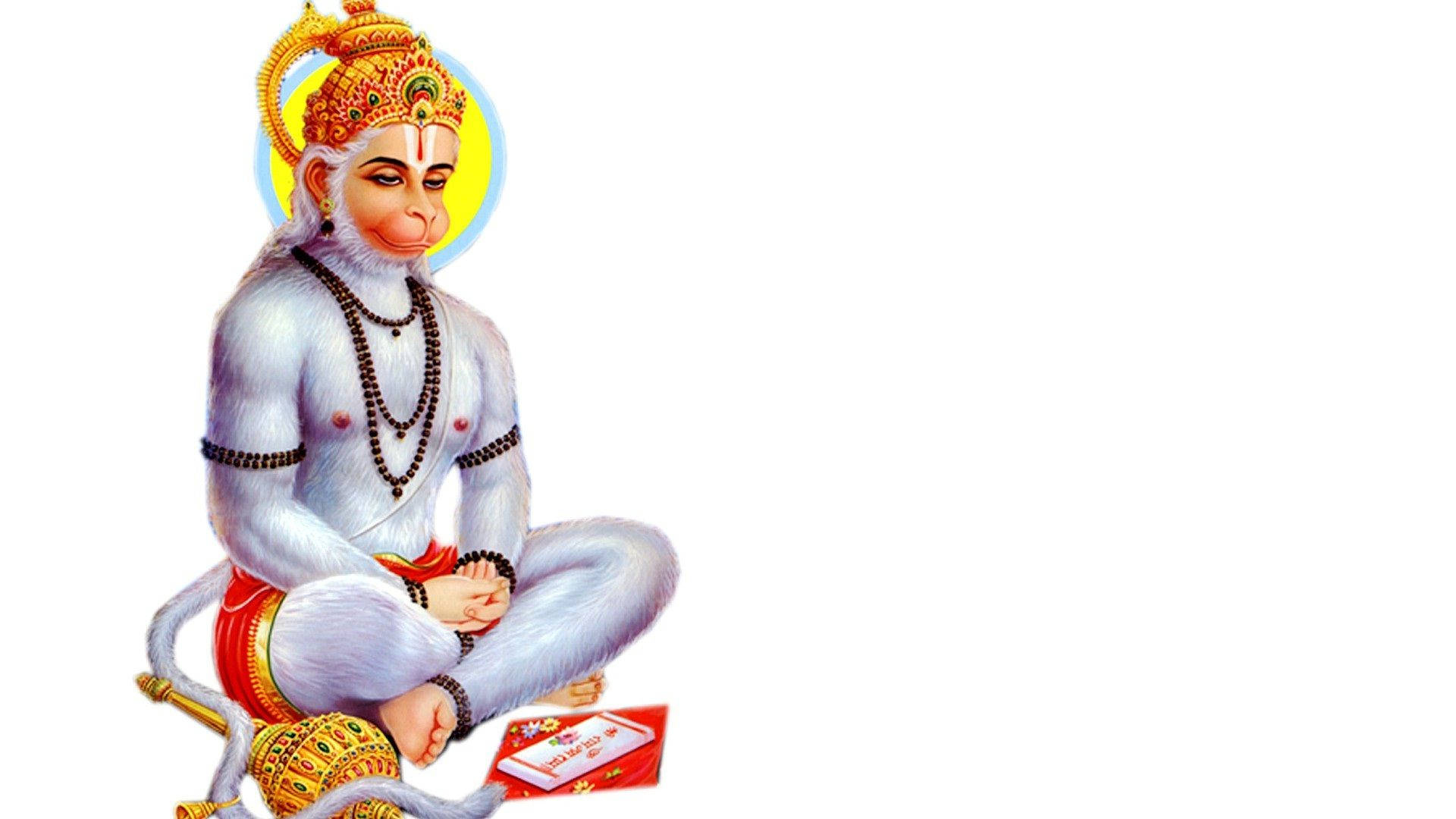 1920x1080 Download Hanuman White Fur On White 4k HD Wallpaper, Desktop