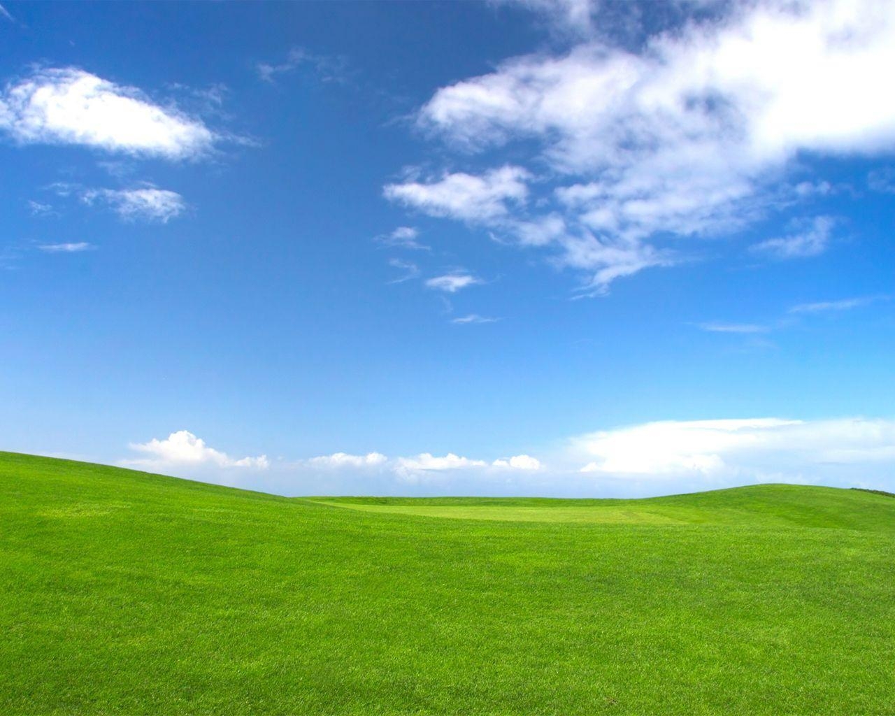 1280x1030 Background For Meadows Background, Desktop