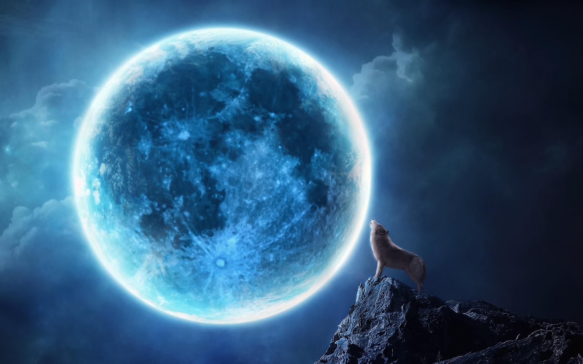 1920x1200 Wolf howling at the moon wallpaper Gallery, Desktop