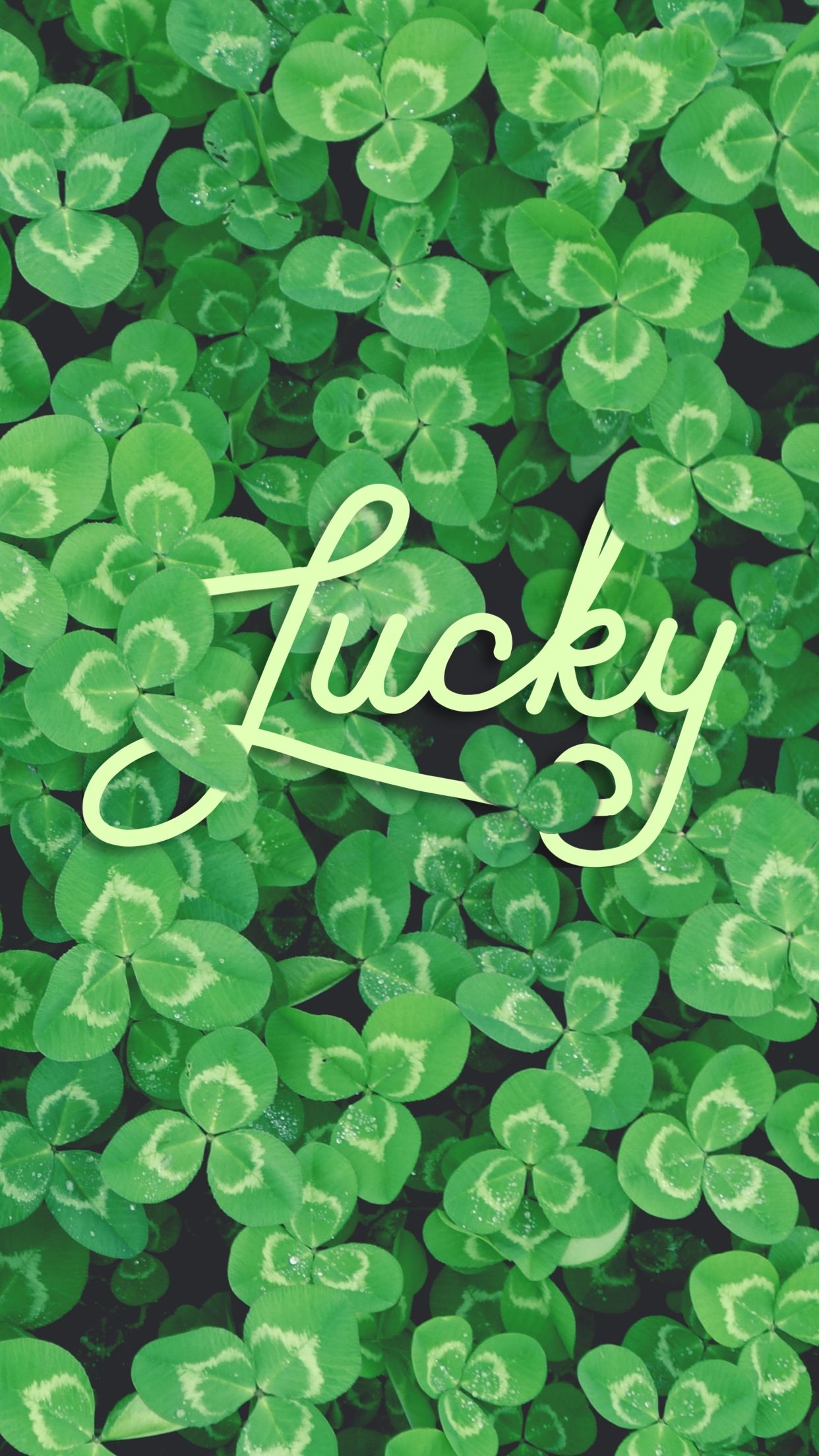 1250x2210 Lucky clover St. Patrick's Day phone wallpaper Lynn Meadows, Phone