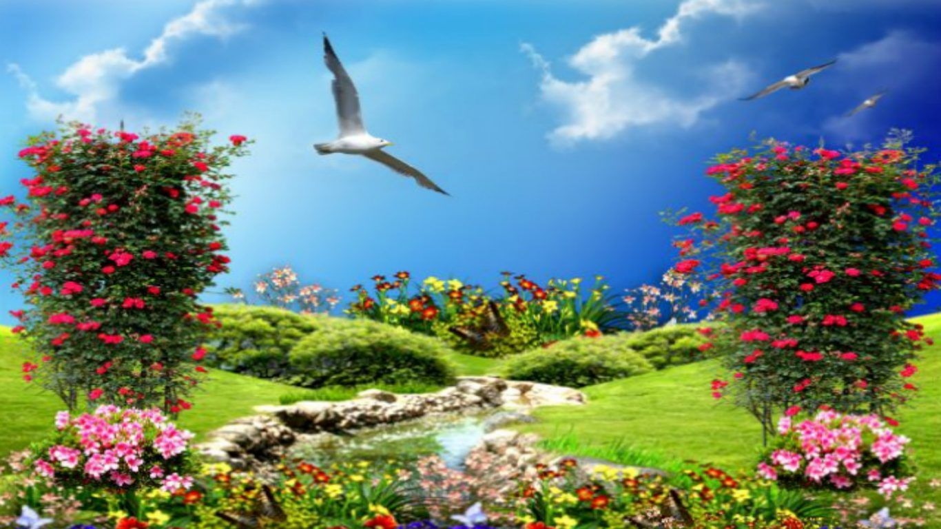 1370x770 Wallpaper With Flowers And Birds Hy44i81 Flowers With, Desktop