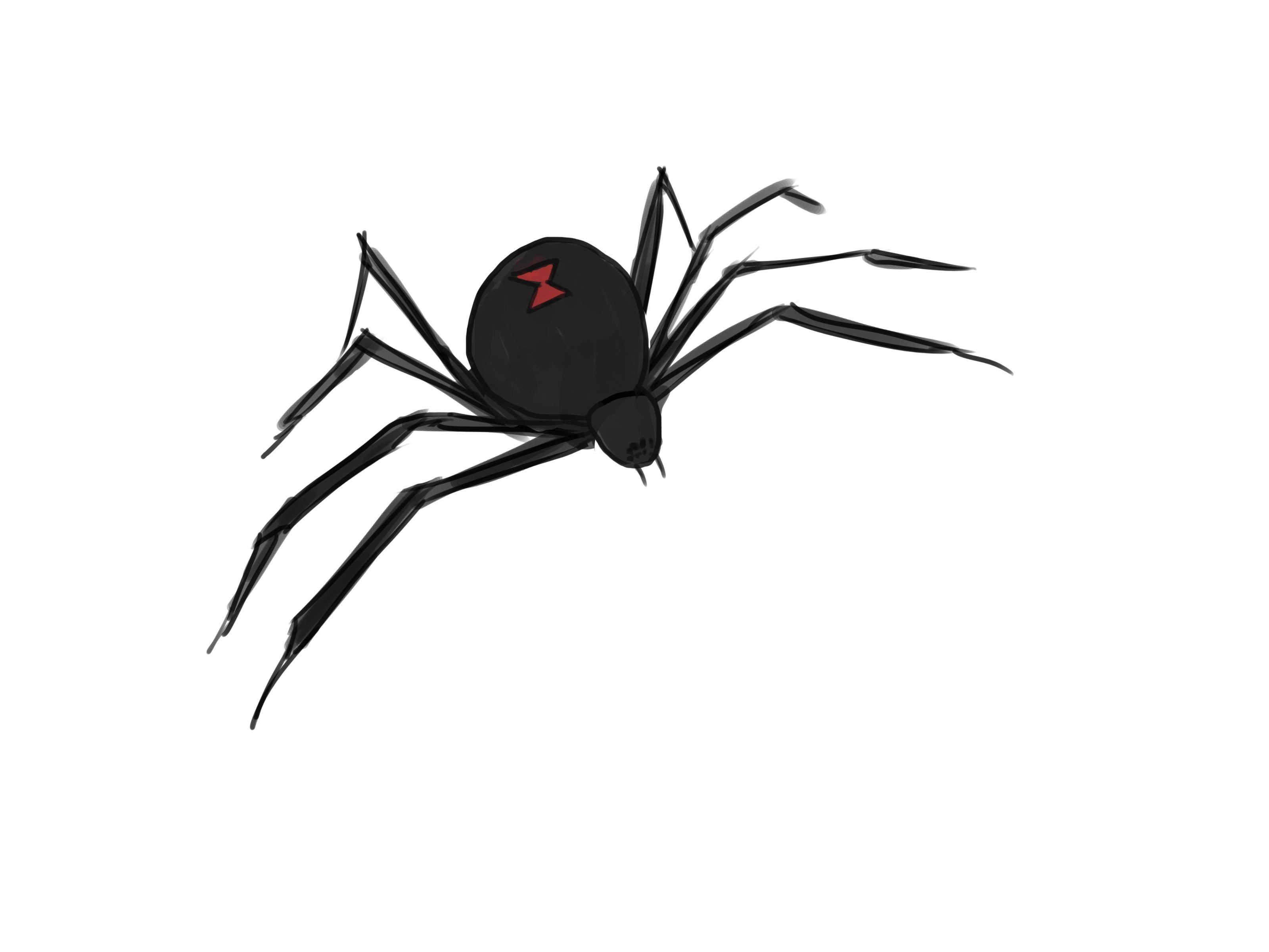 3200x2400 Ways to Draw a Spider, Desktop