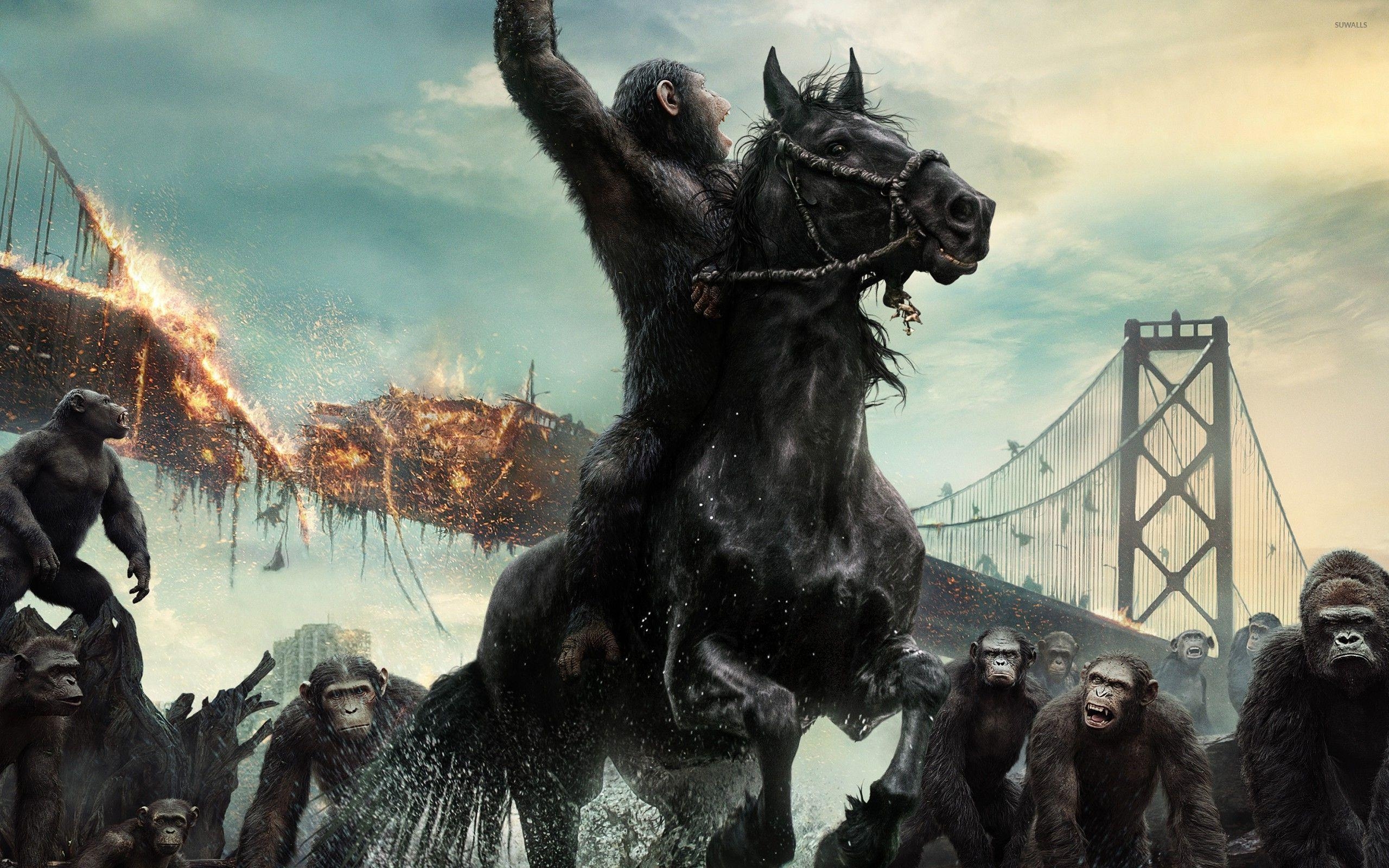 2560x1600 Caesar in Dawn of the Planet of the Apes wallpaper, Desktop