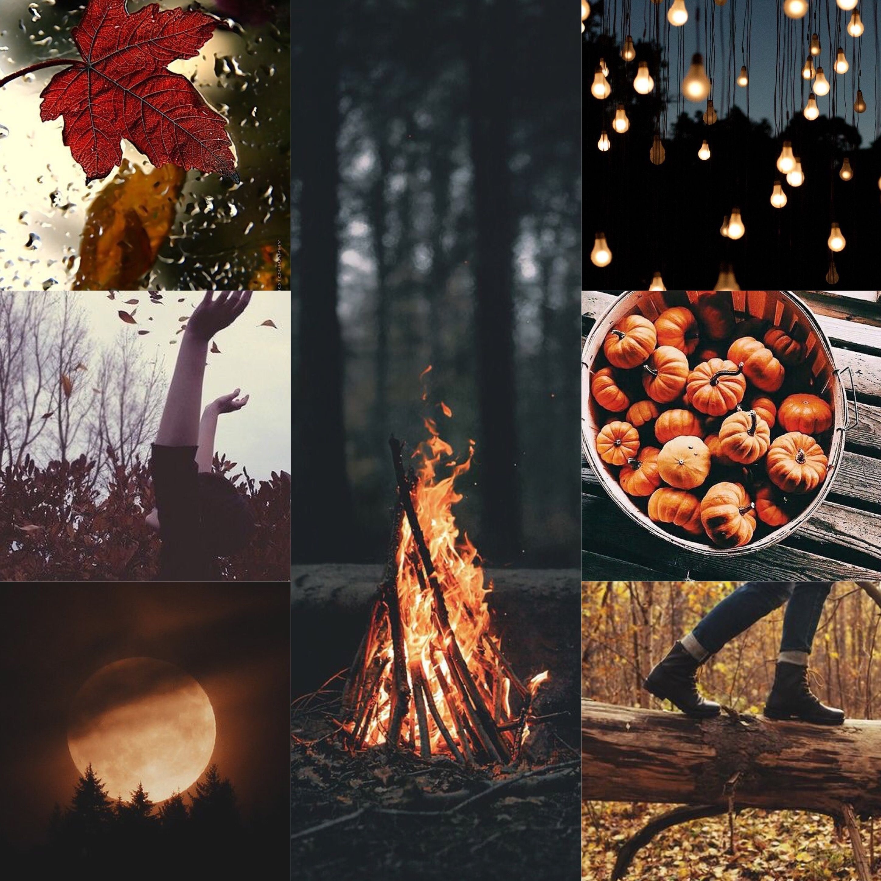 2900x2900 Autumn Collage 04. Autumn magic, Autumn inspiration, Fall decor, Phone