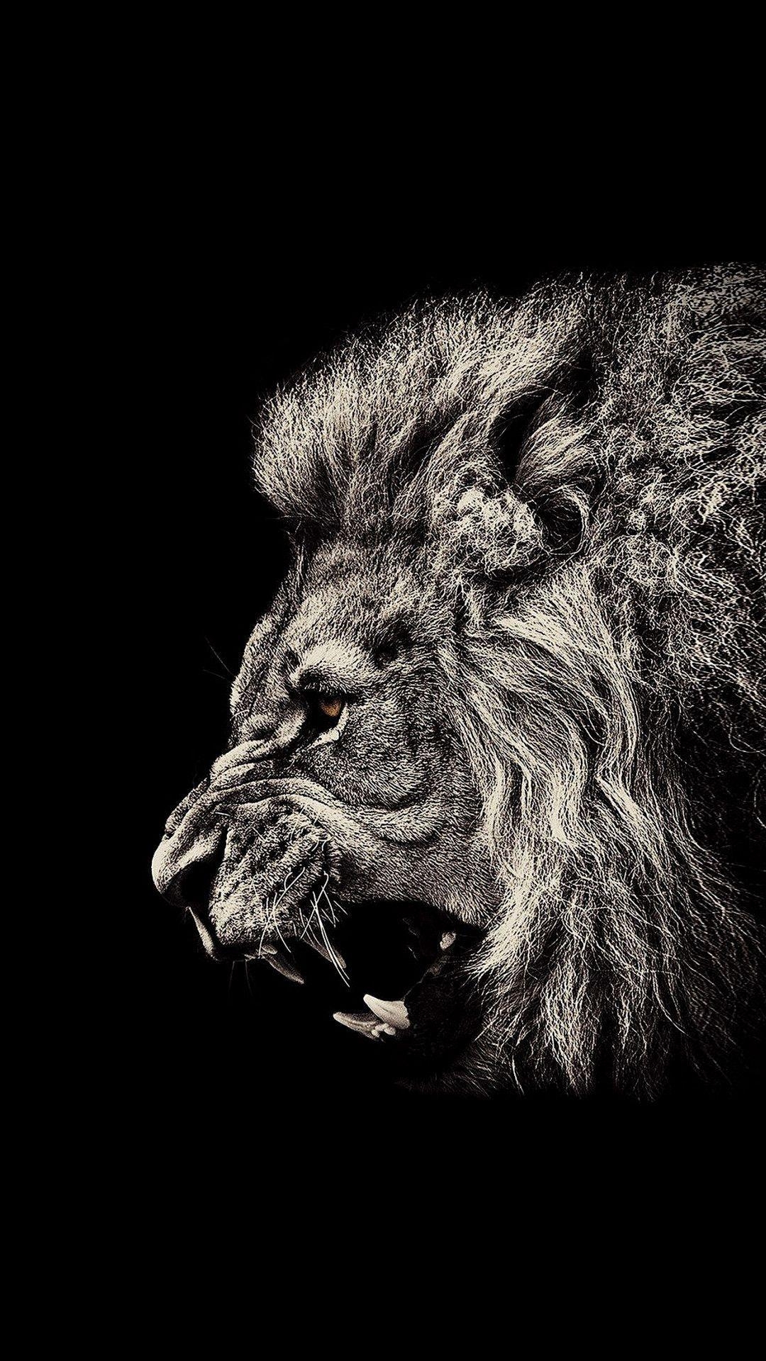 1080x1920 black wallpaper iphone. Lion wallpaper, Dark wallpaper iphone, HD, Phone