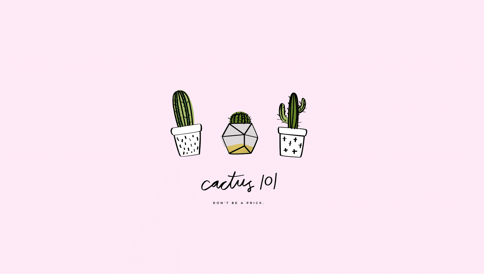 1600x910 Cute Cactus Wallpaper, Desktop