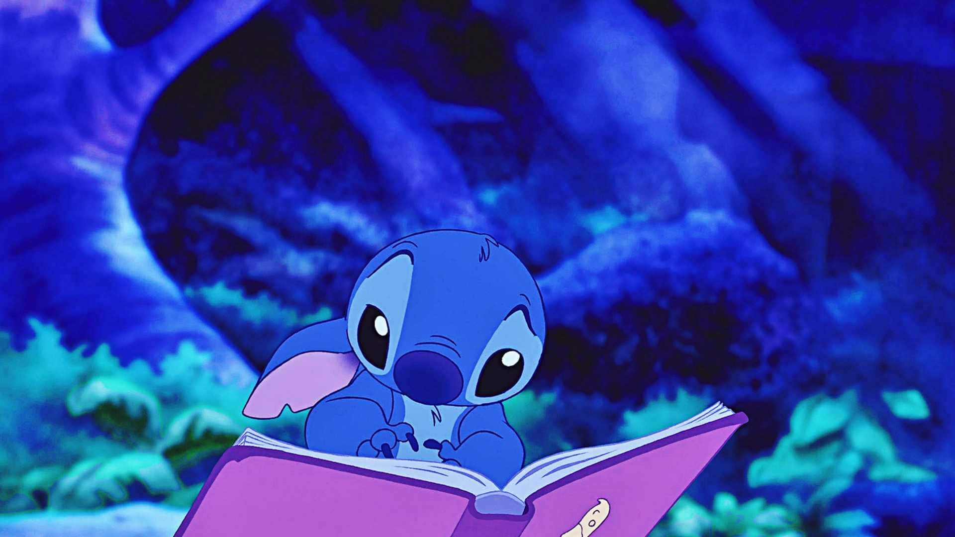 1920x1080 Stitch Computer Wallpaper, Desktop