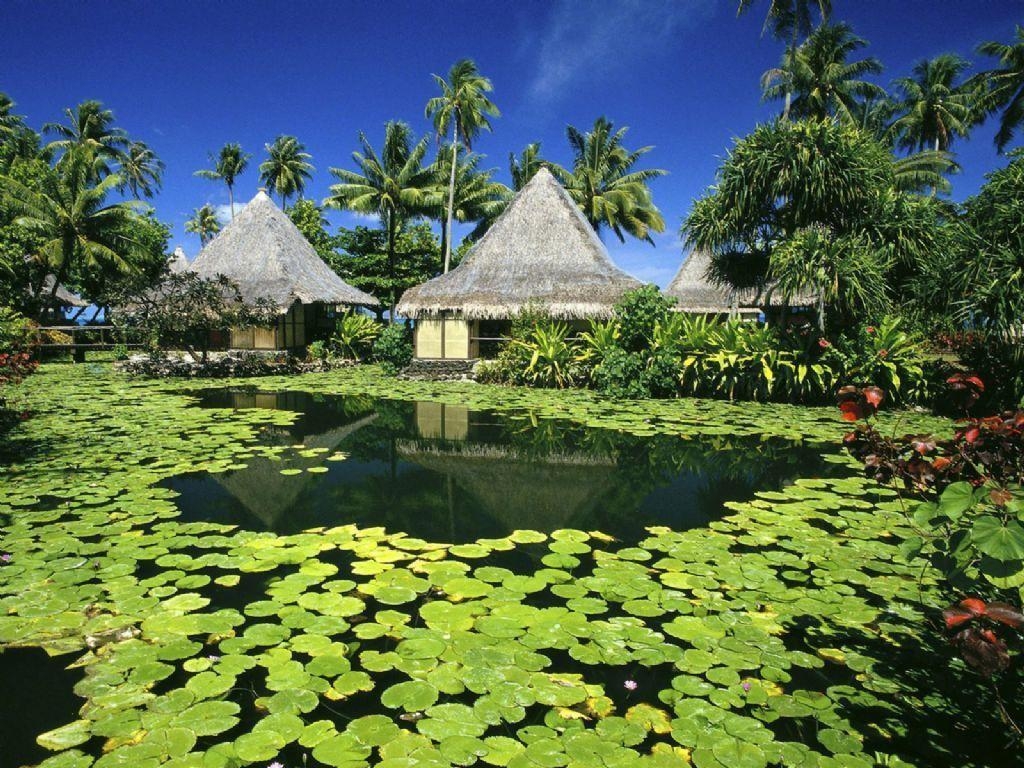 1030x770 Tahiti PictureHD Wallpaper, Desktop