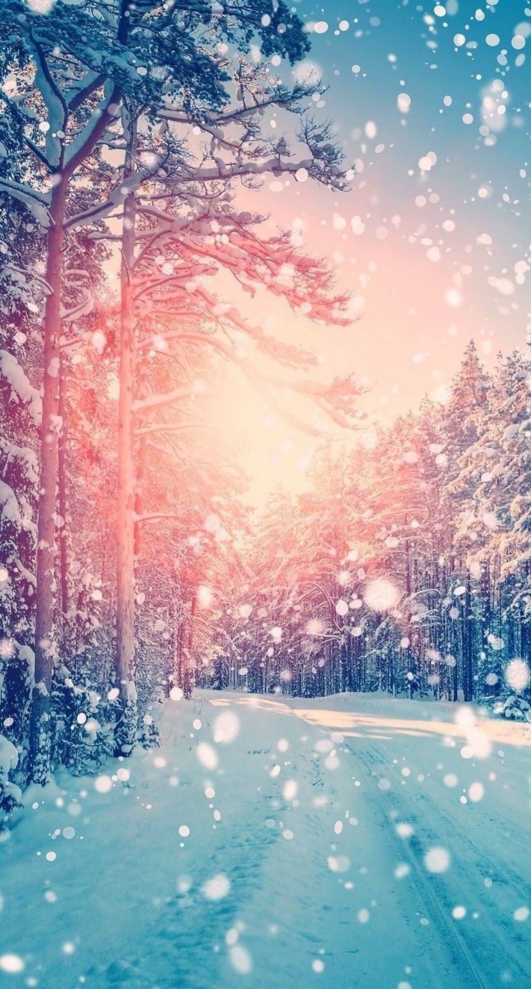 770x1440 Winter Wallpaper for iPhone Free HD Wallpaper, Phone