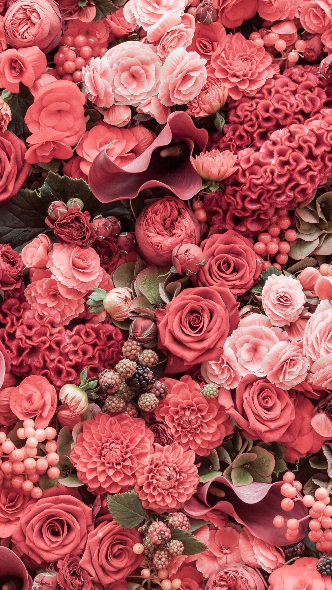 1080x1920 Coral flowers aesthetic Wallpaper Download, Phone