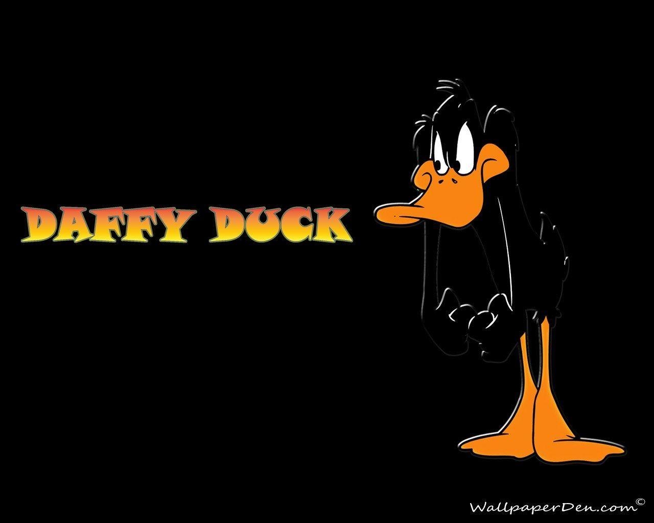 1280x1030 daffy duck image HD Wallpaper, Photo, 73 kB, Desktop