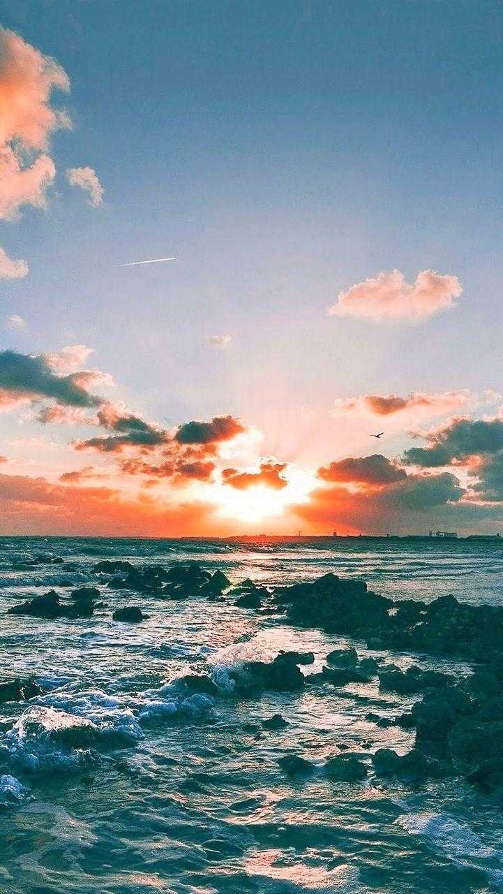 730x1280 Summer Aesthetic Wallpaper iphone Wallpaper, Phone