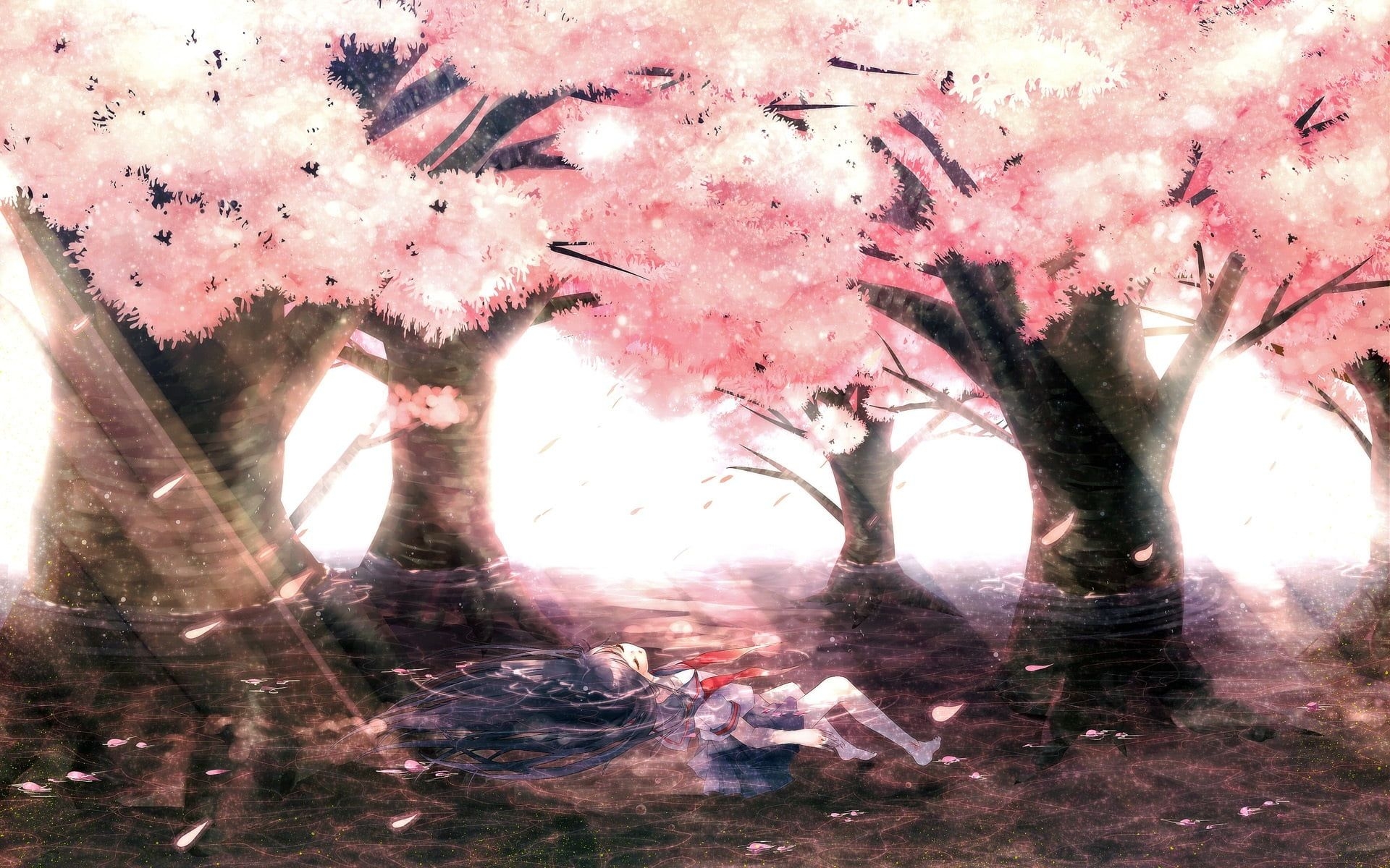 1920x1200 Cherry blossom painting, landscape, Chill Out, anime HD wallpaper, Desktop