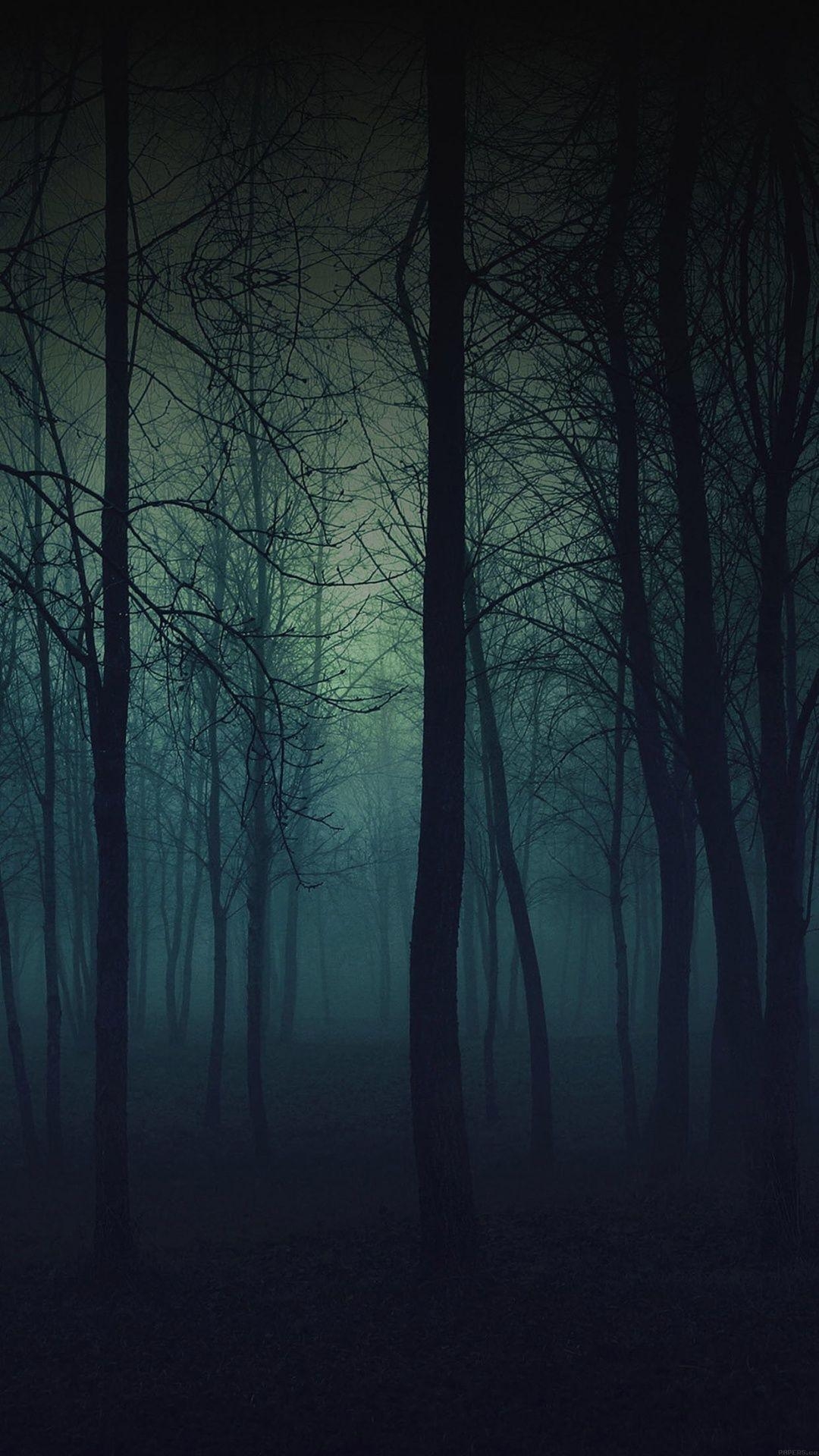 1080x1920 Eerie Forest Night iPhone 6 Plus HD Wallpaper / iPod Wallpaper HD, Phone