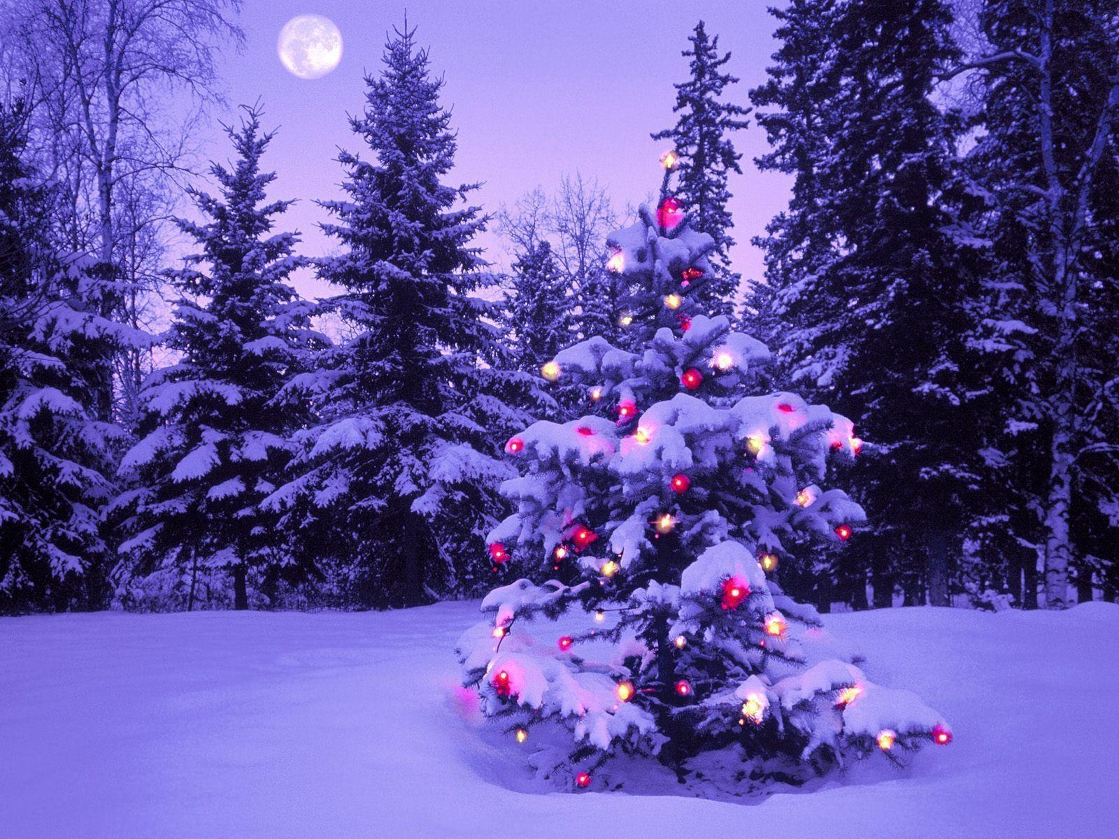 1600x1200 Snowy Christmas Background, Desktop