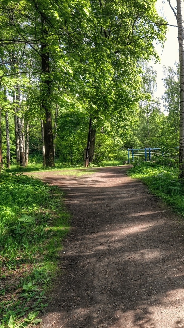 750x1340 Spring, Forest, Trees, Road, Green  IPhone 8 7 6 6S Wallpaper, Background, Picture, Image, Phone